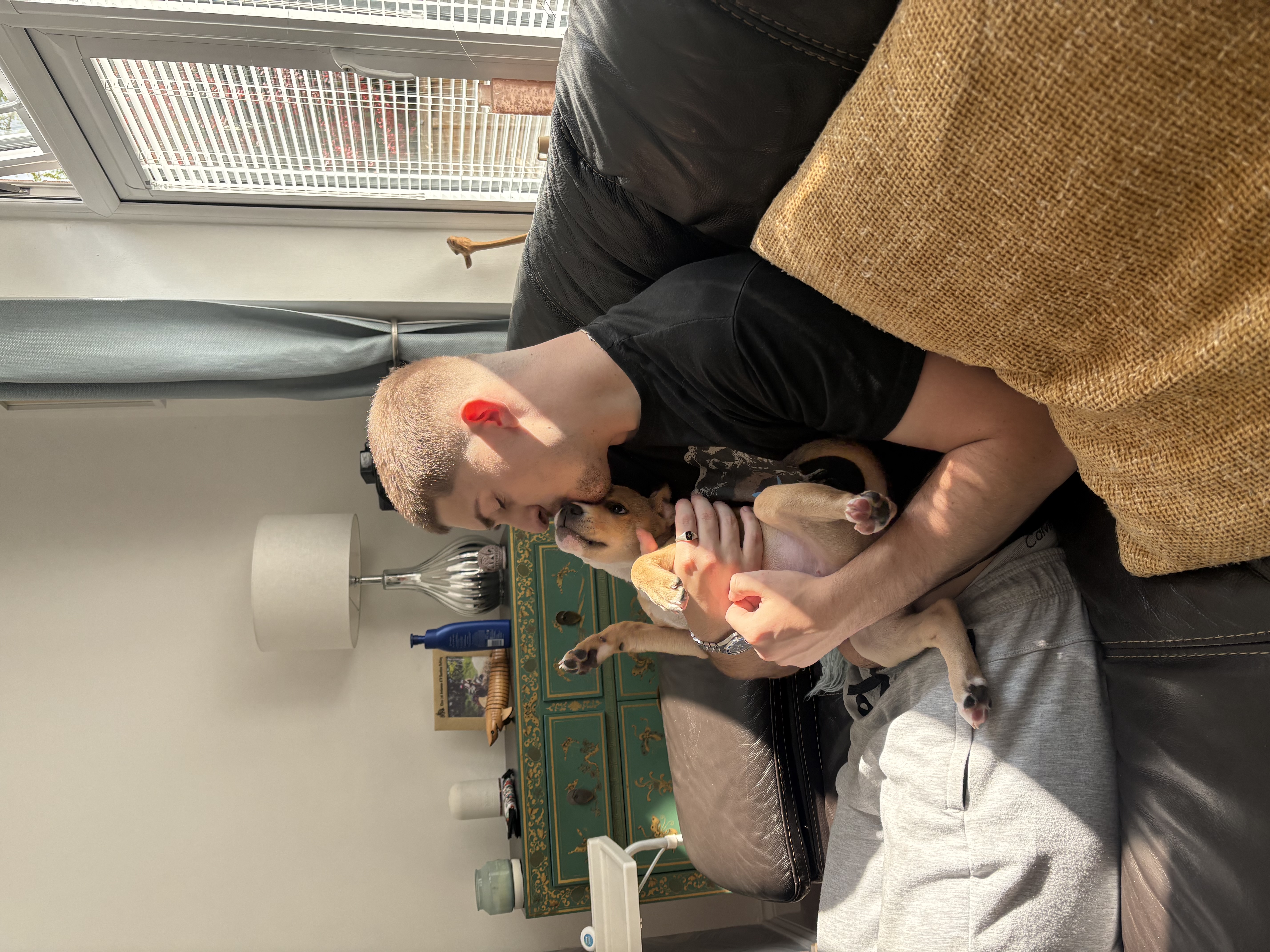 image-8