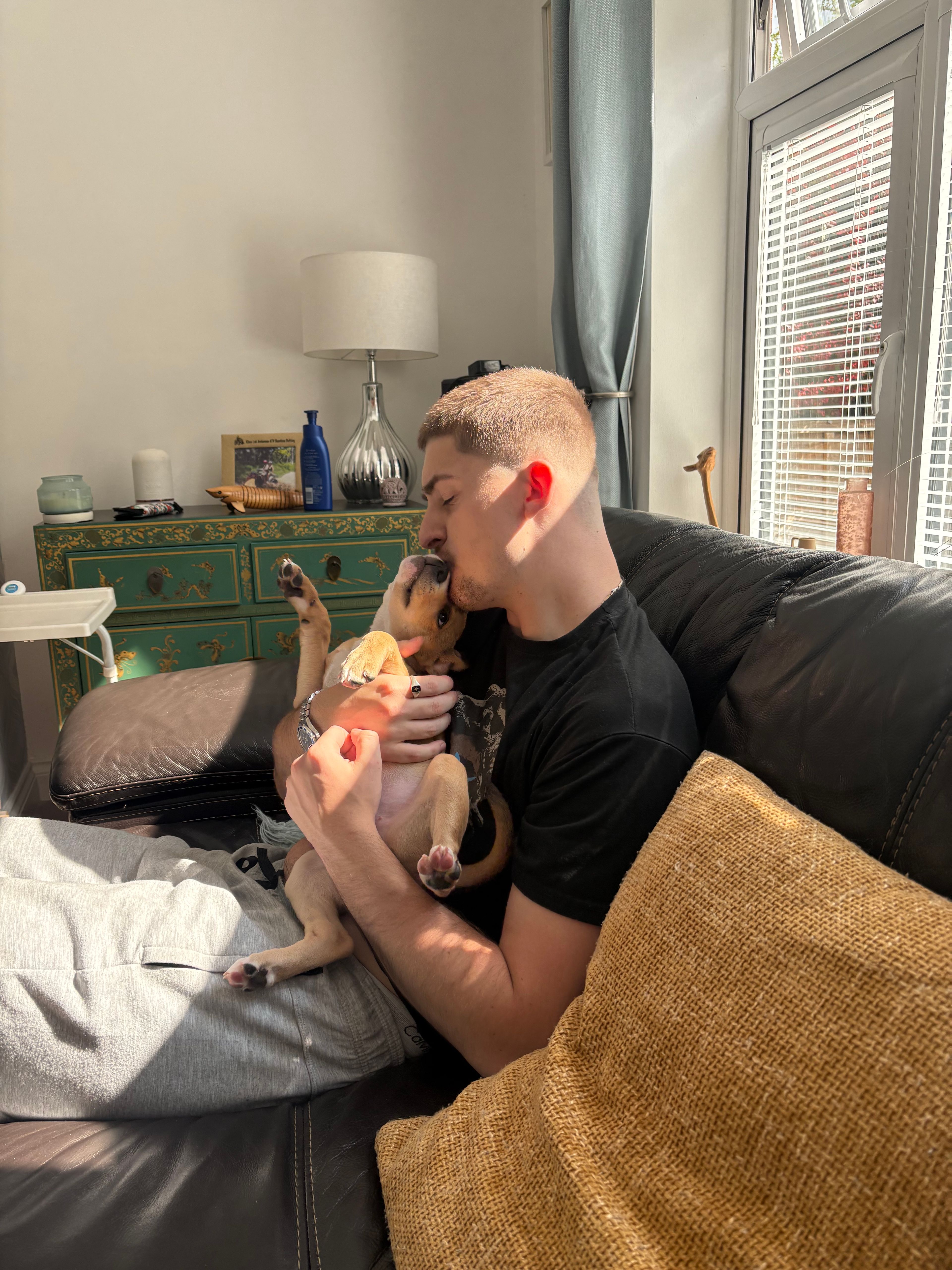 image-8