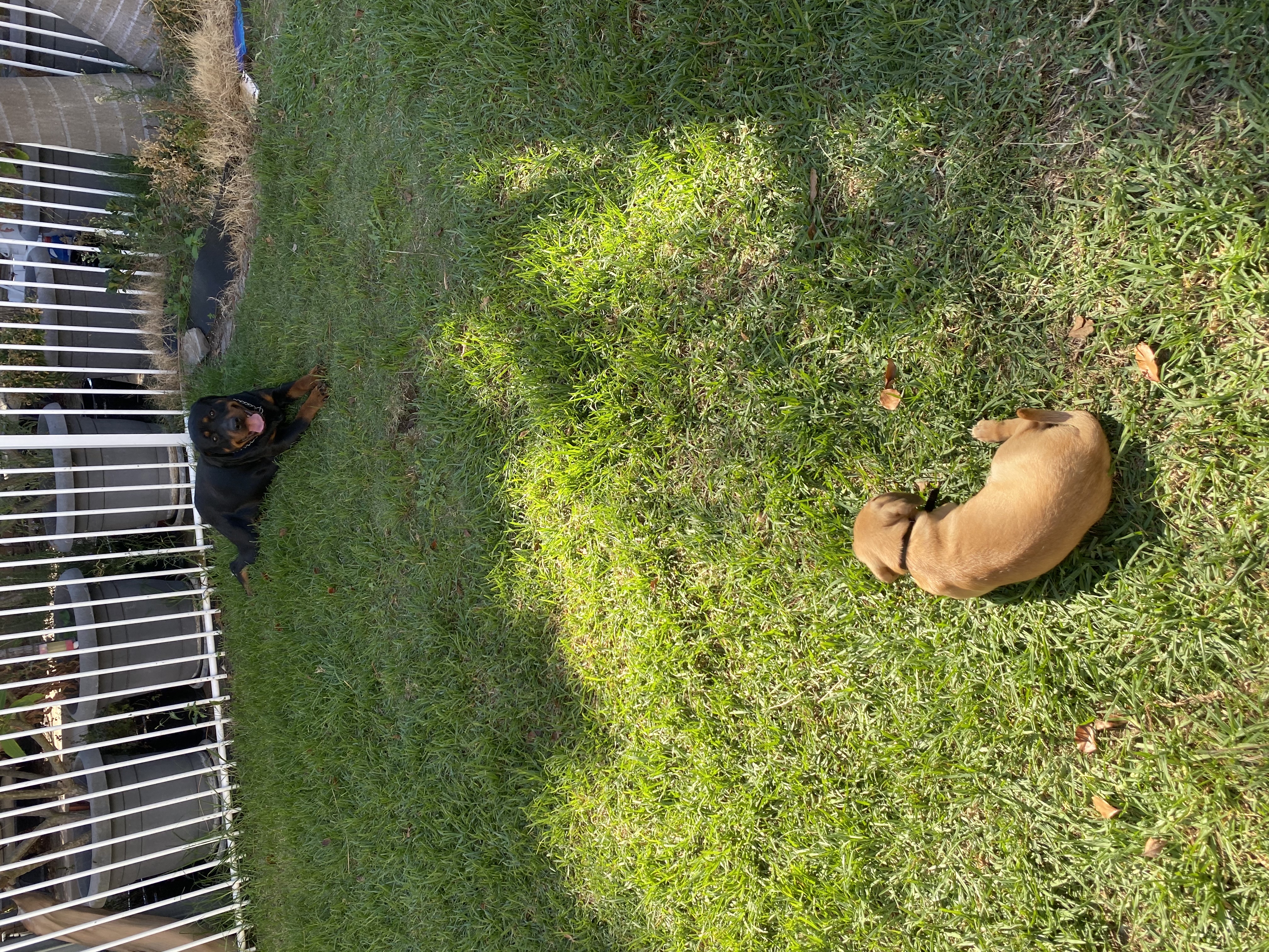 image-4
