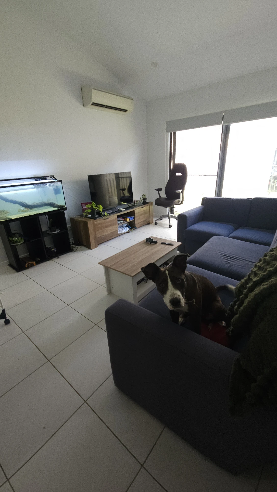 image-19