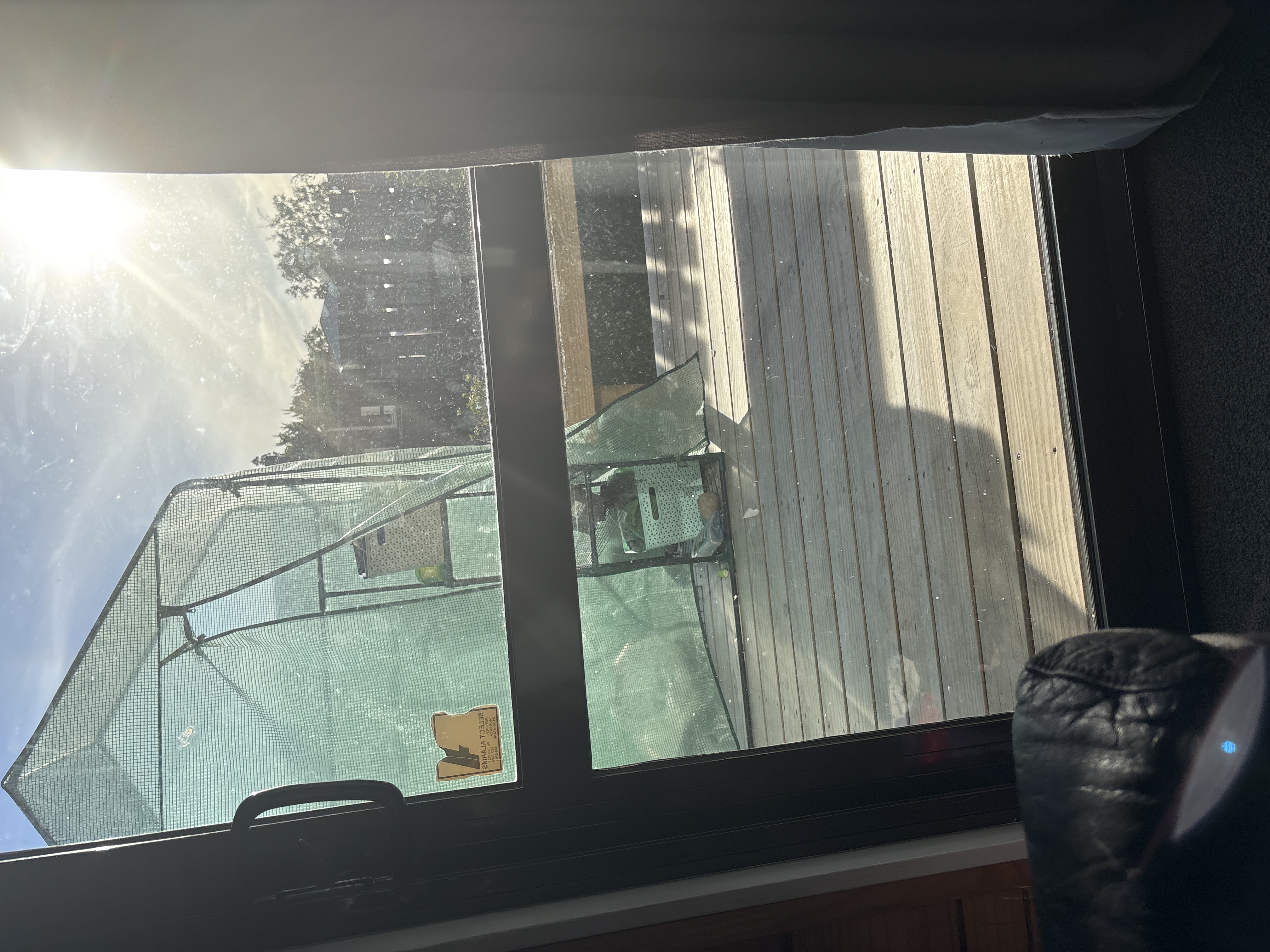 image-7