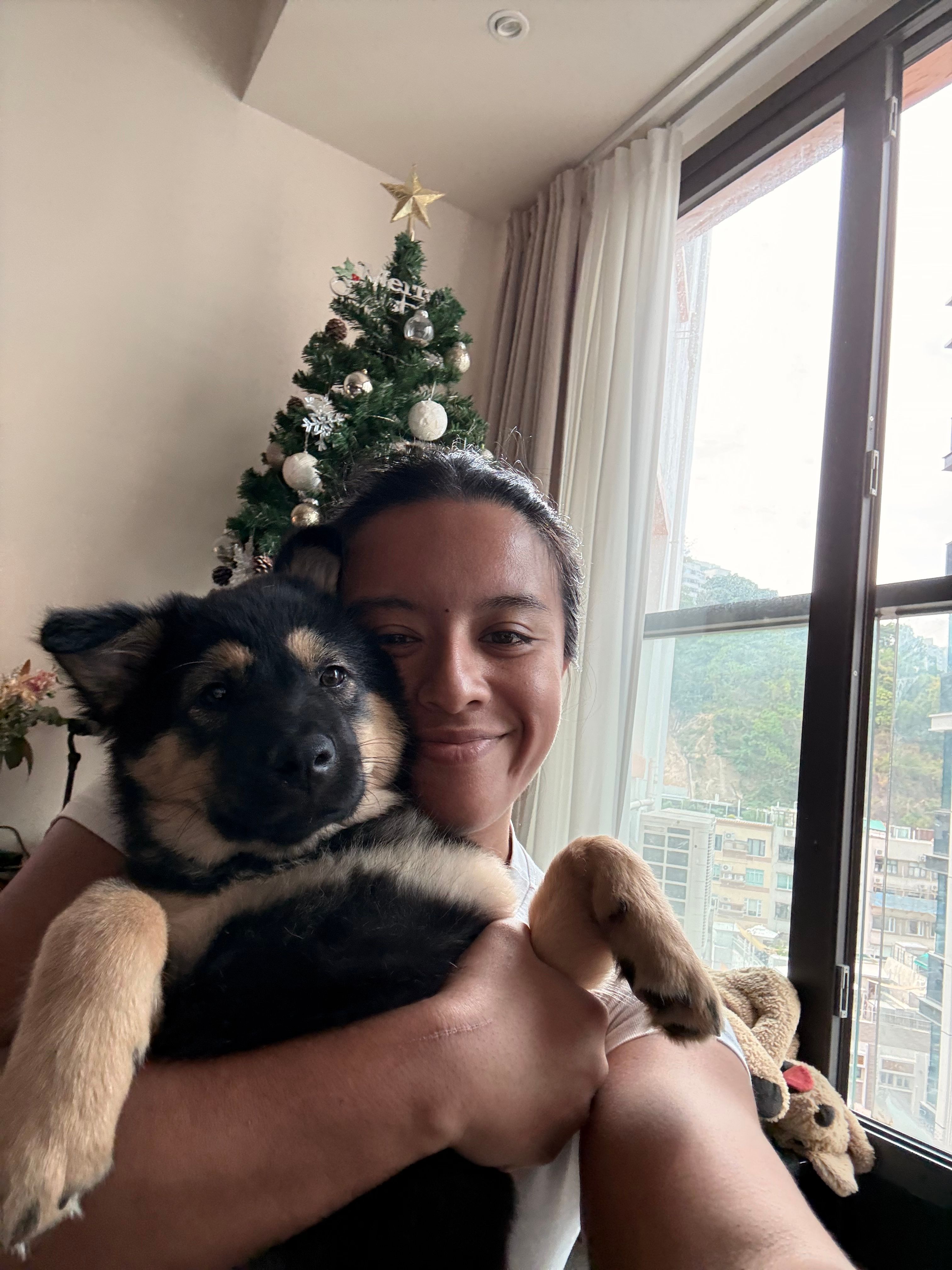 image-6
