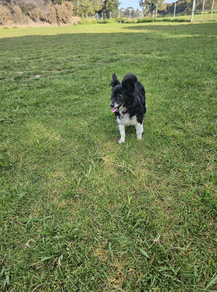 image-7