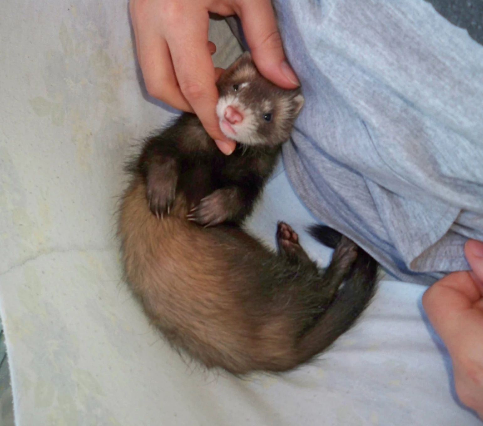 image-6