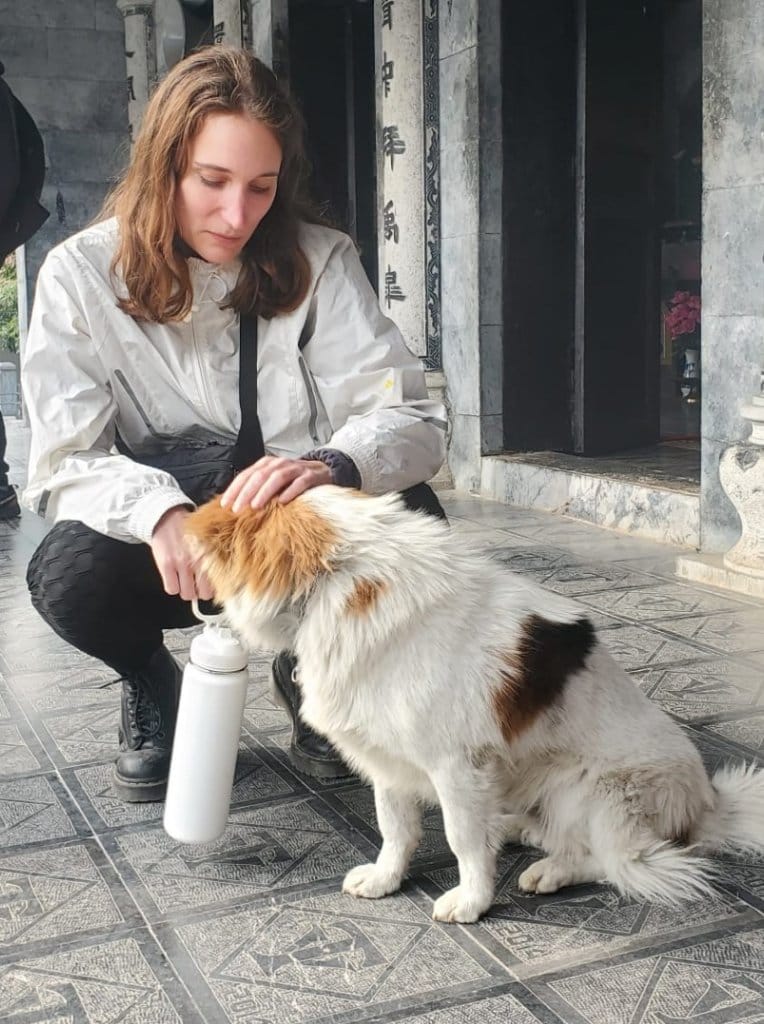image-4