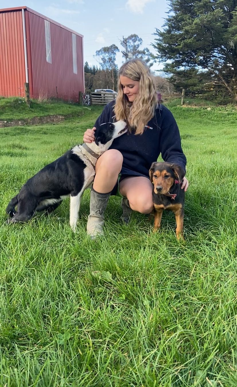 image-2