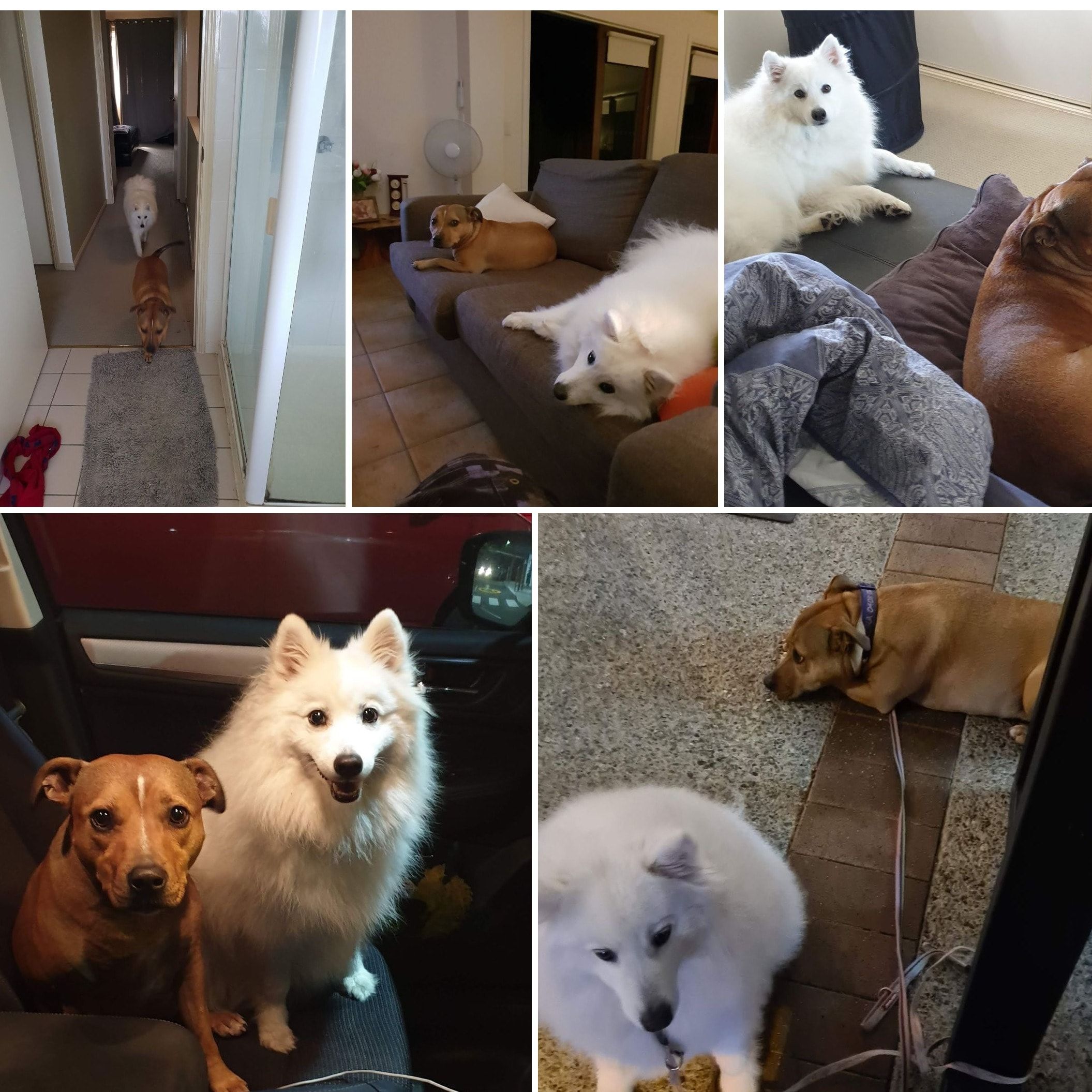 Steven and Christina