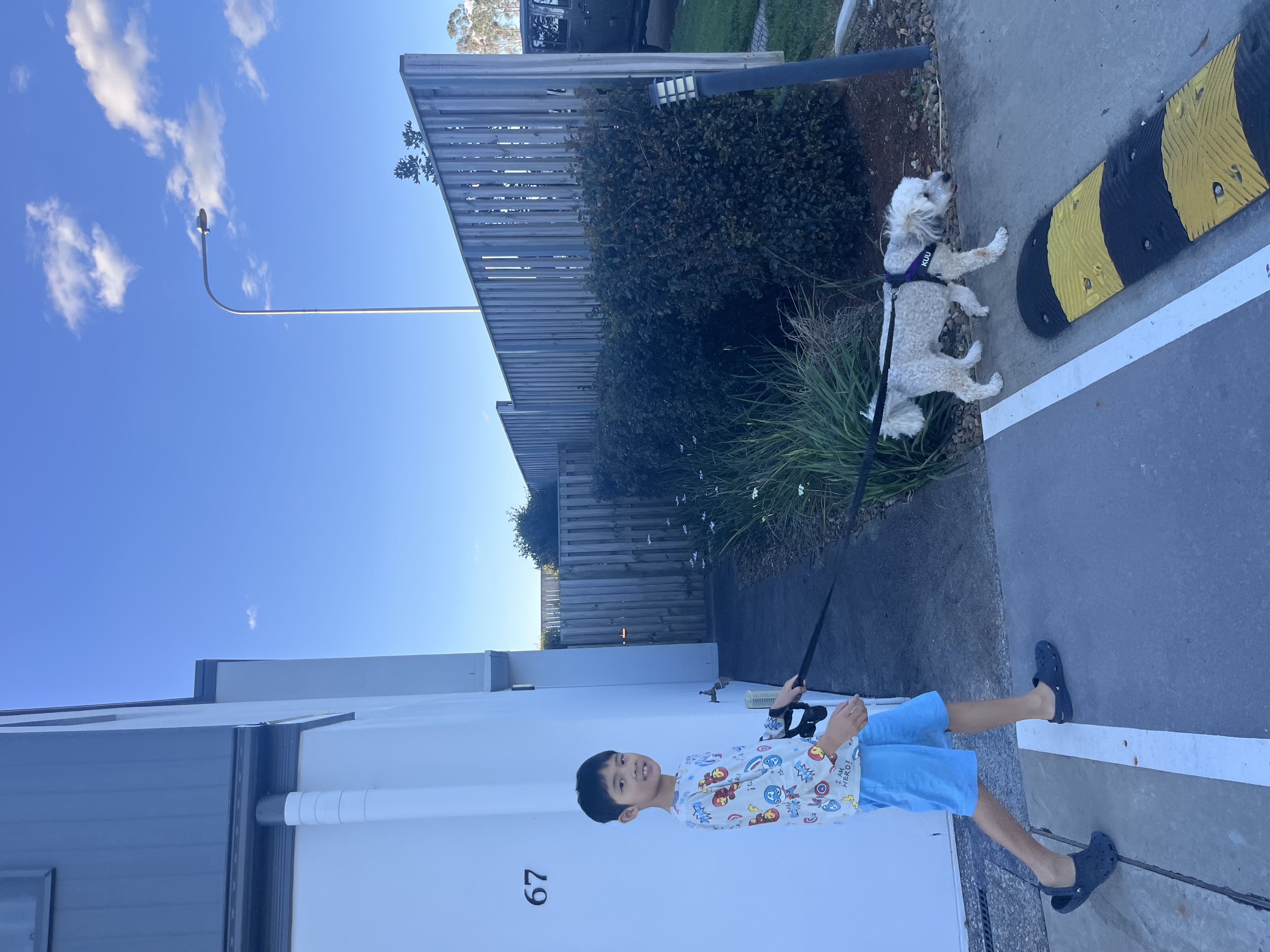 image-14