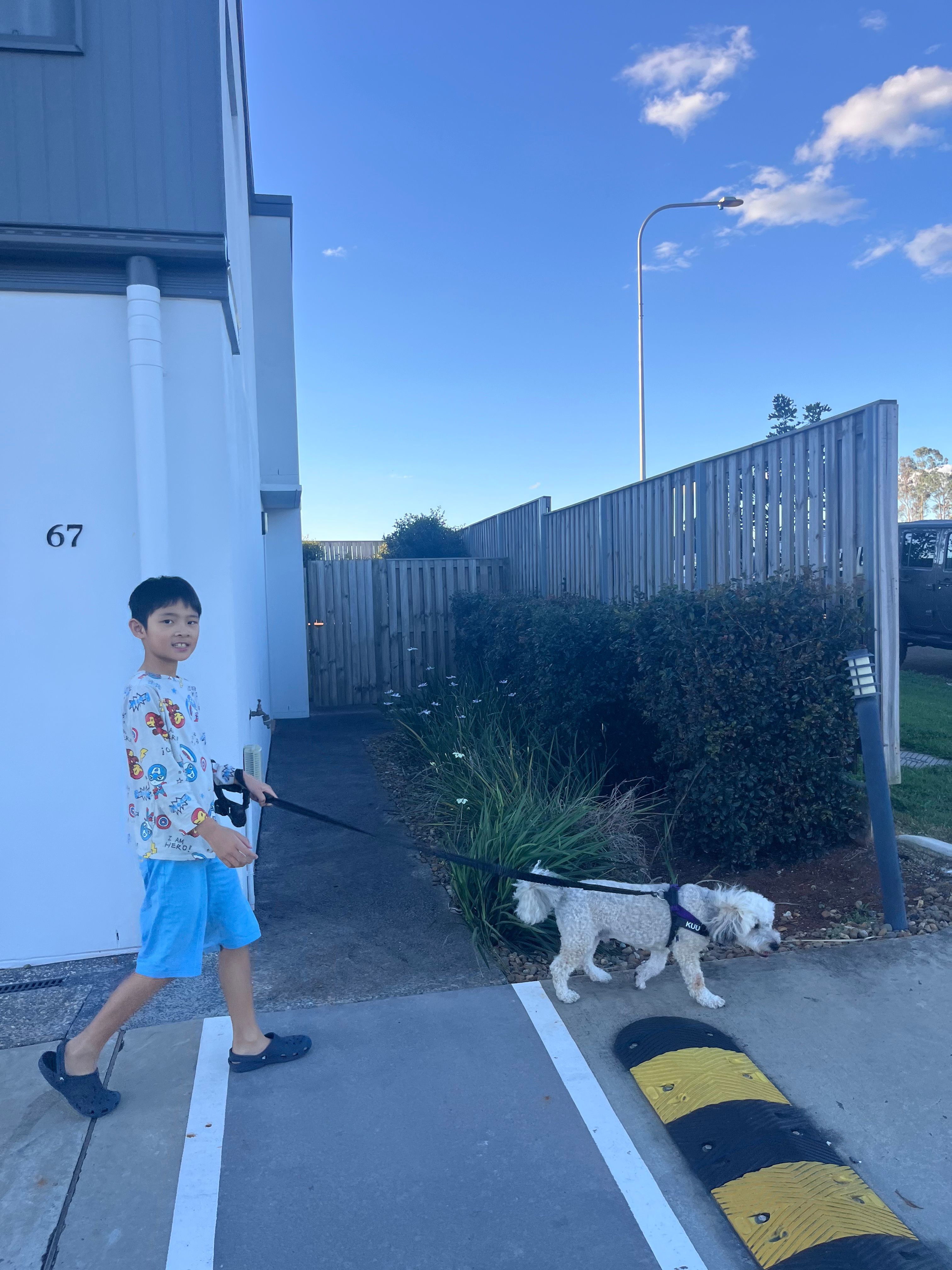 image-14