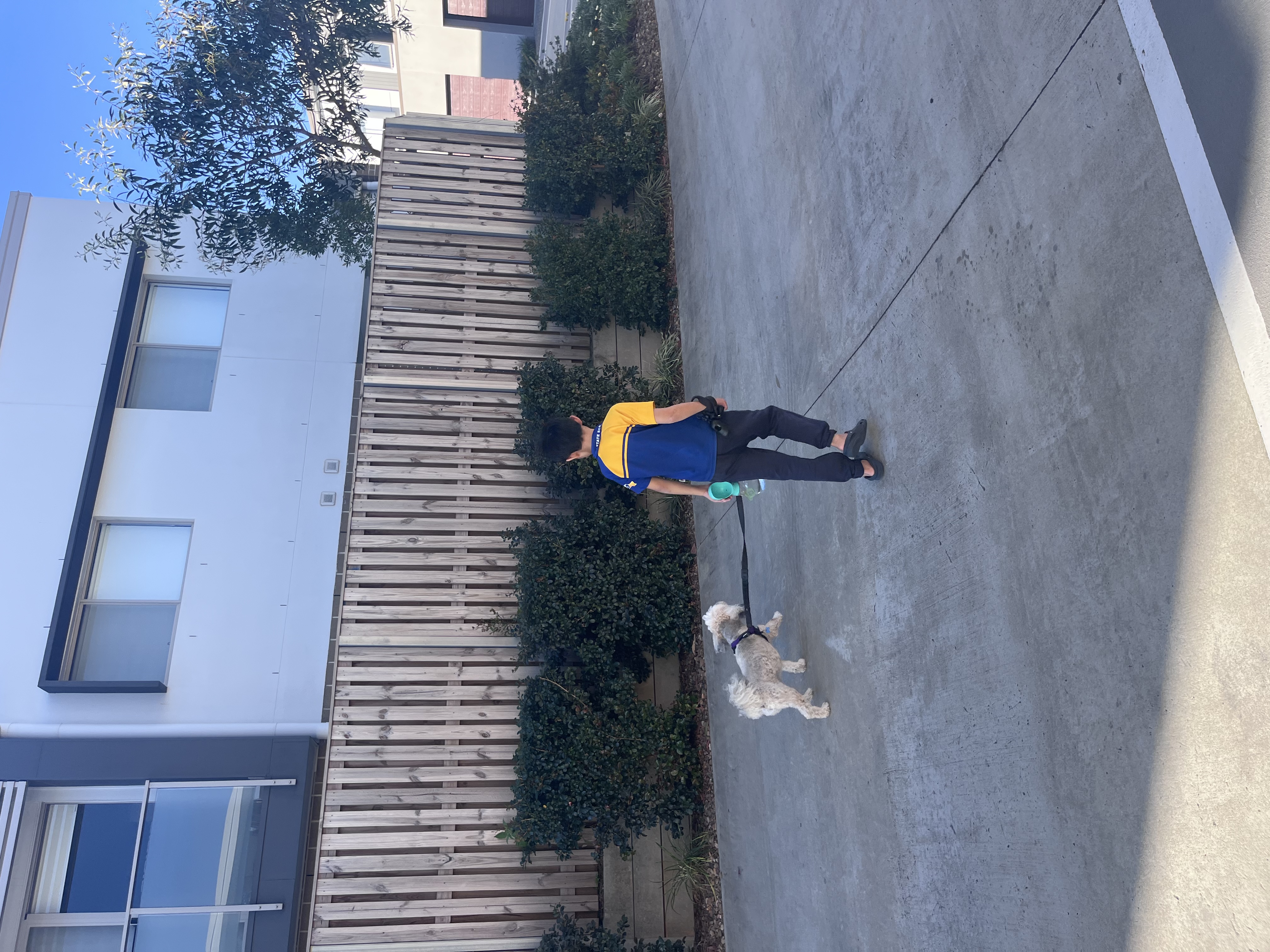 image-11