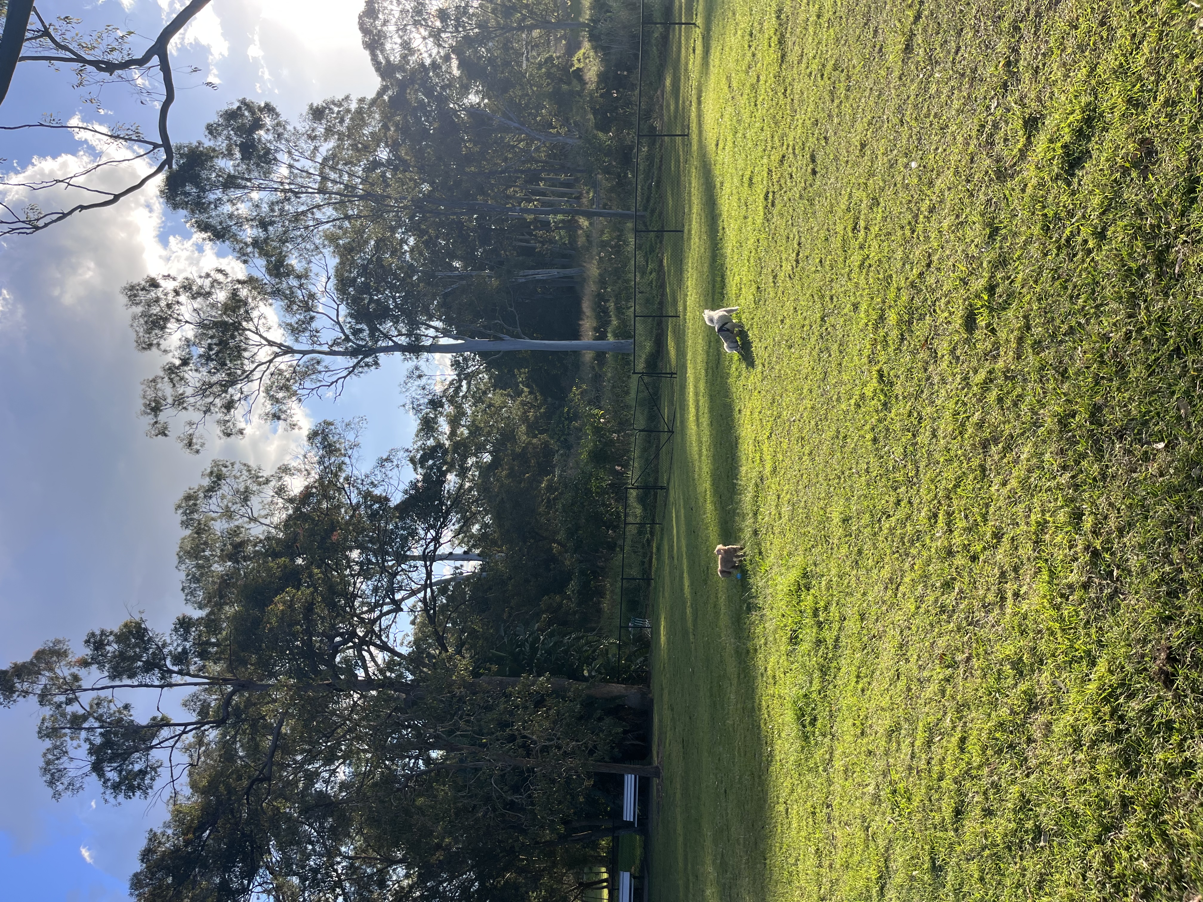 image-13