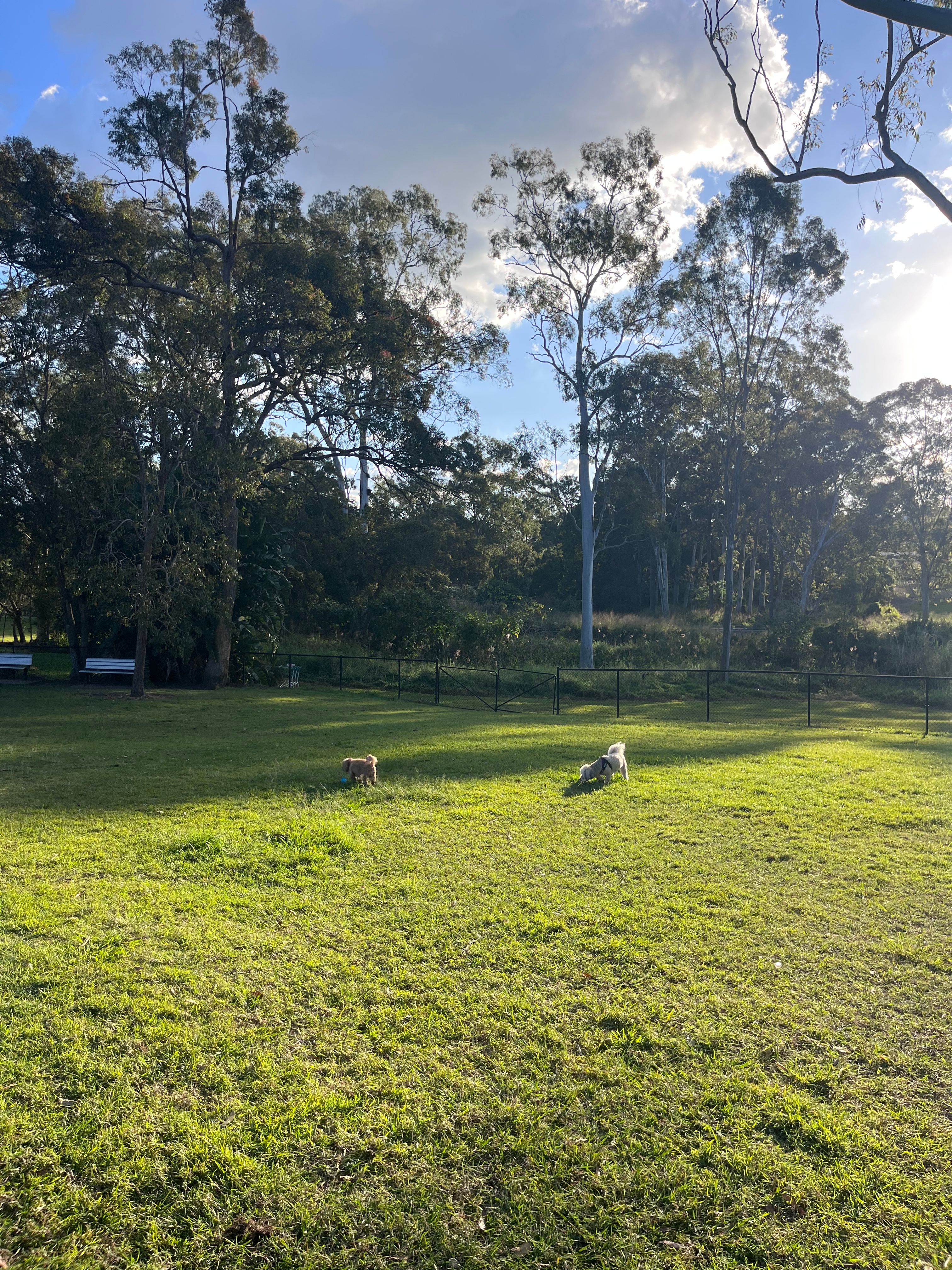 image-13