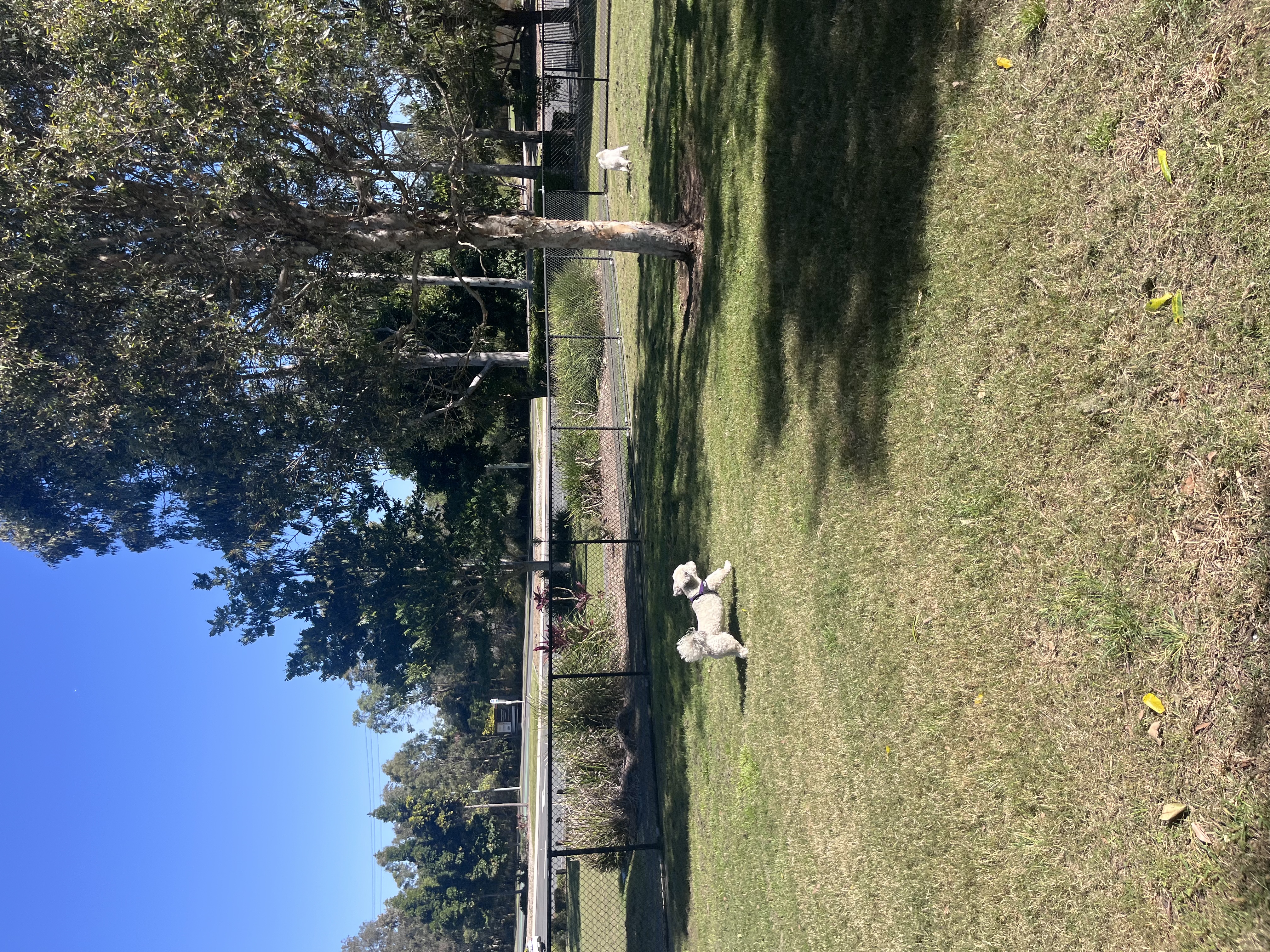 image-15