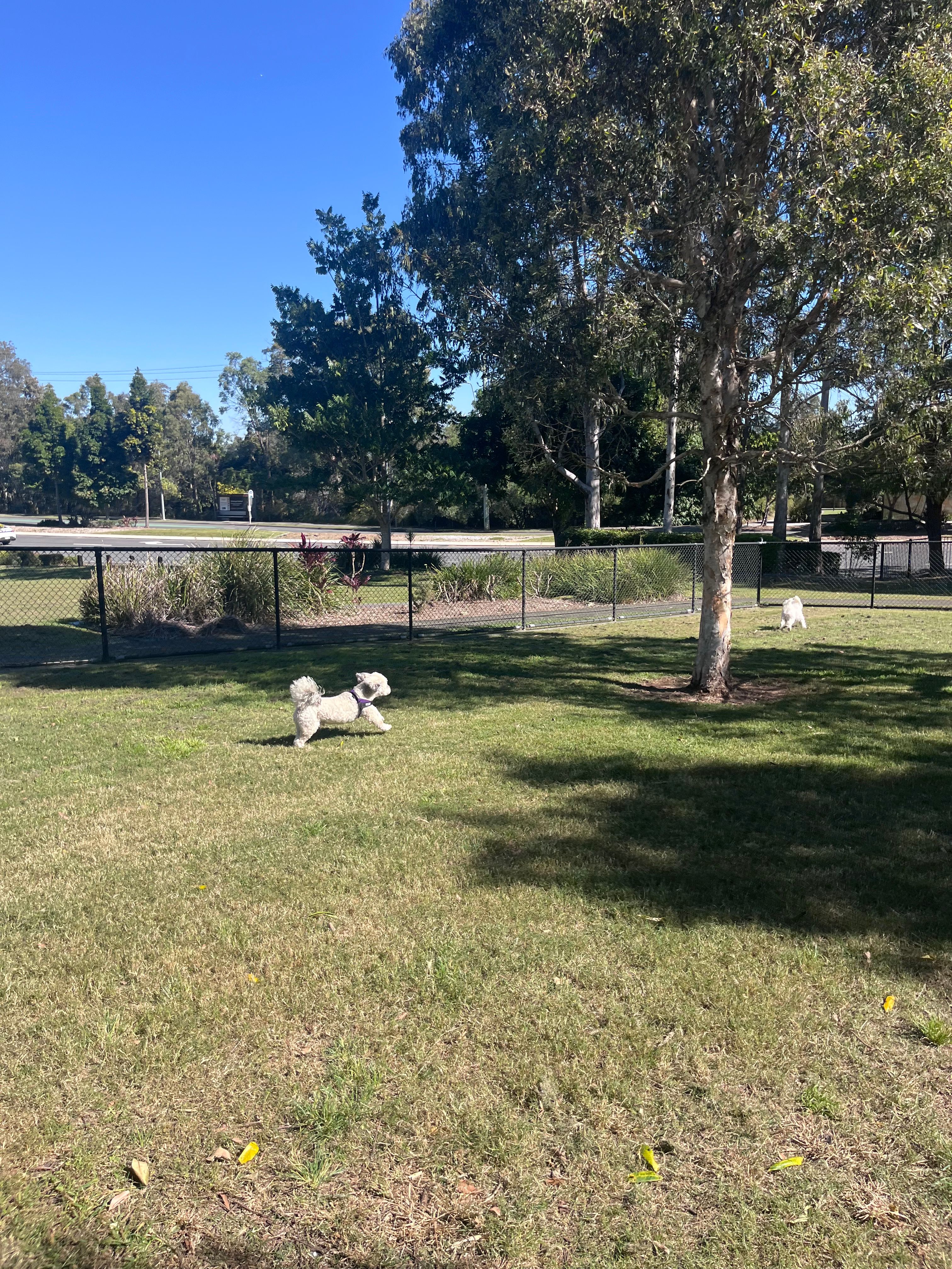 image-15