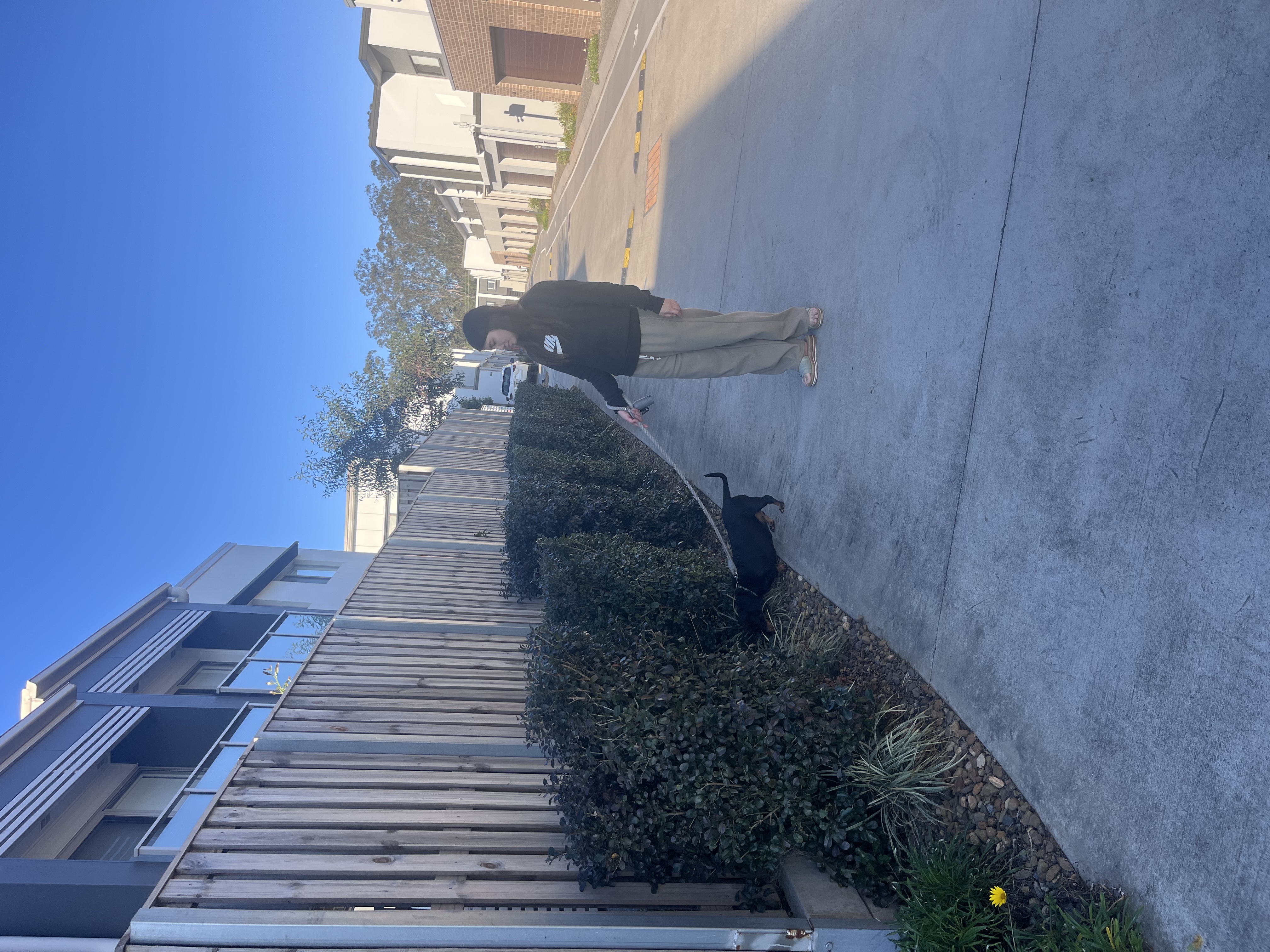 image-28