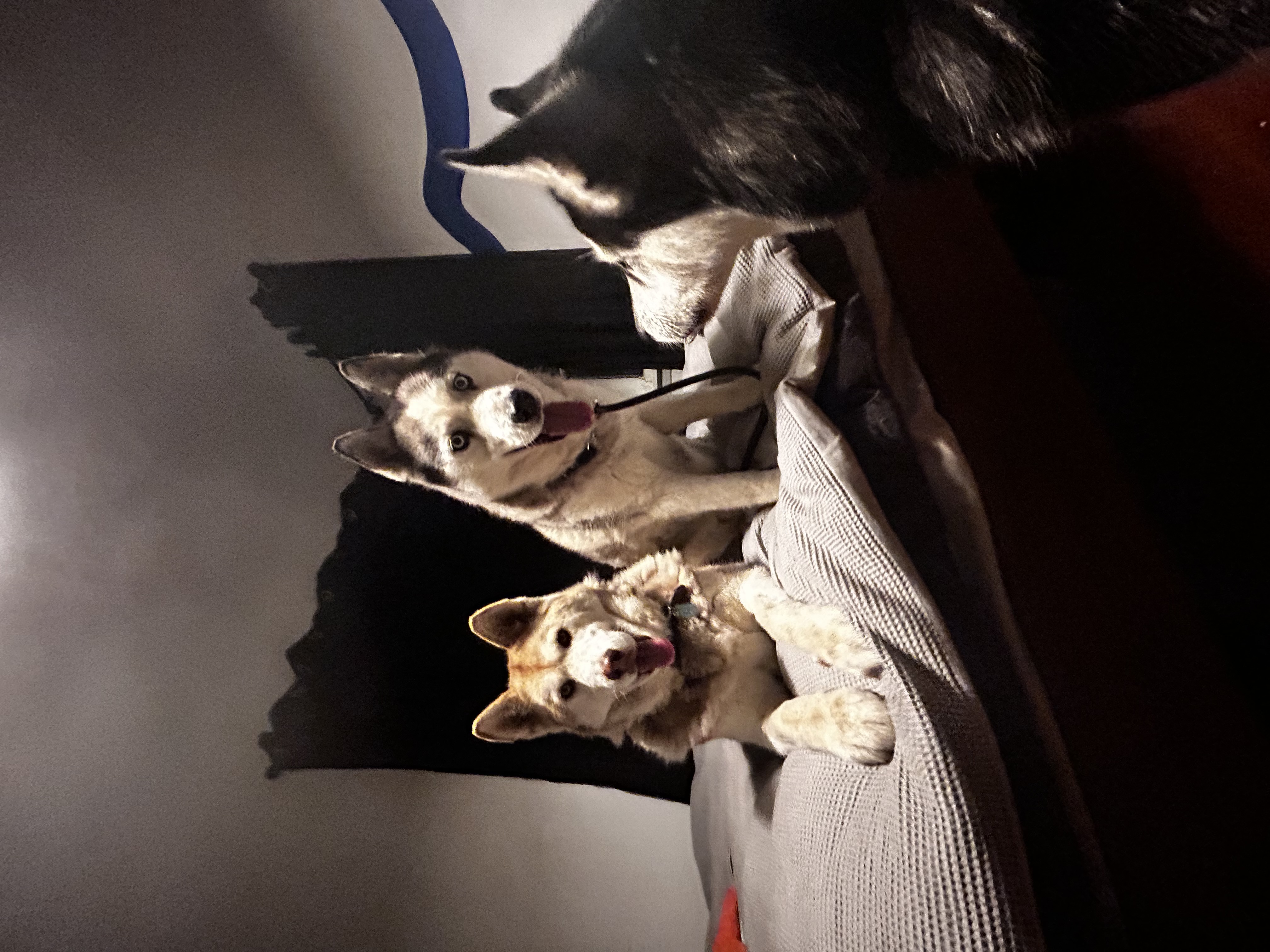 image-7