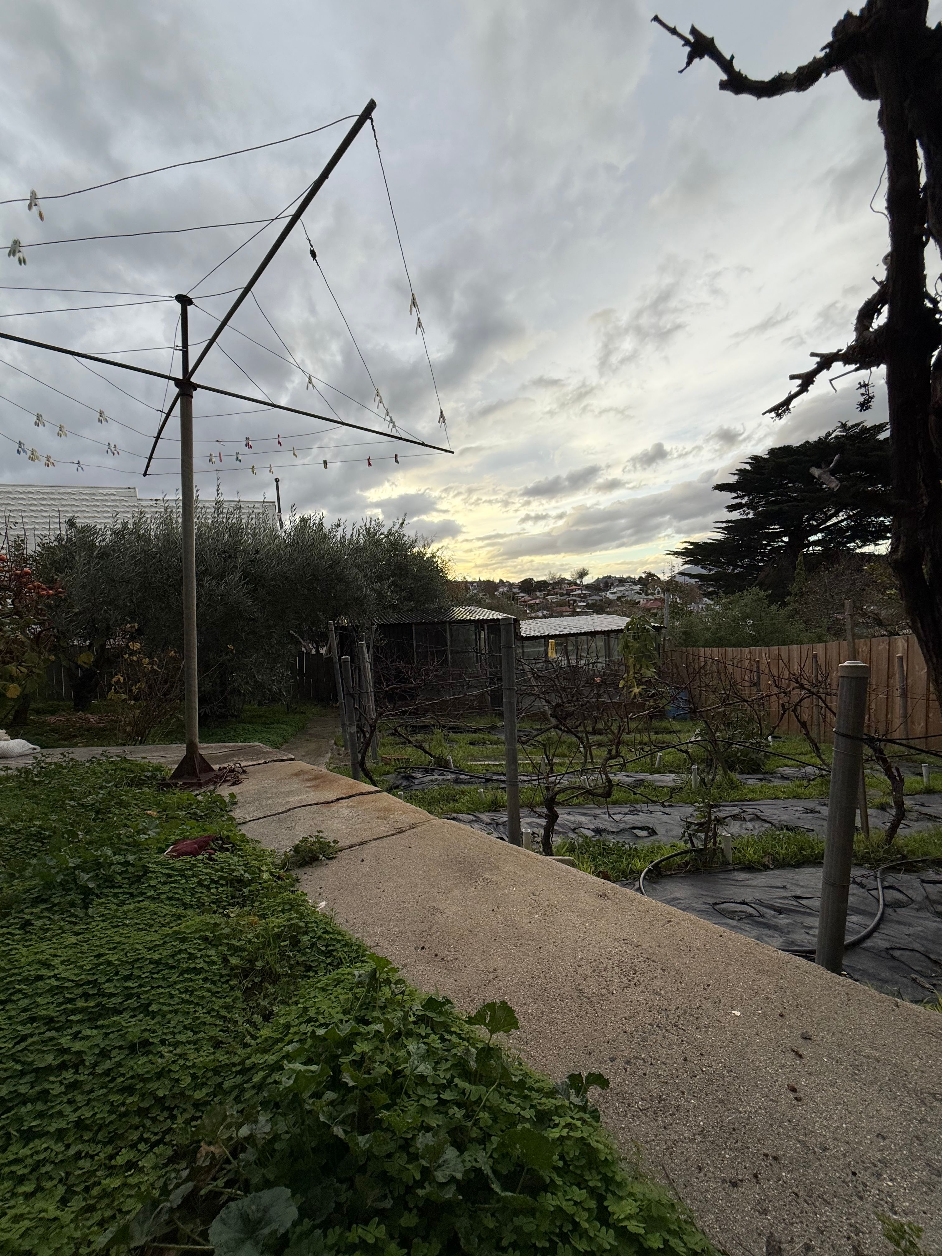 image-7
