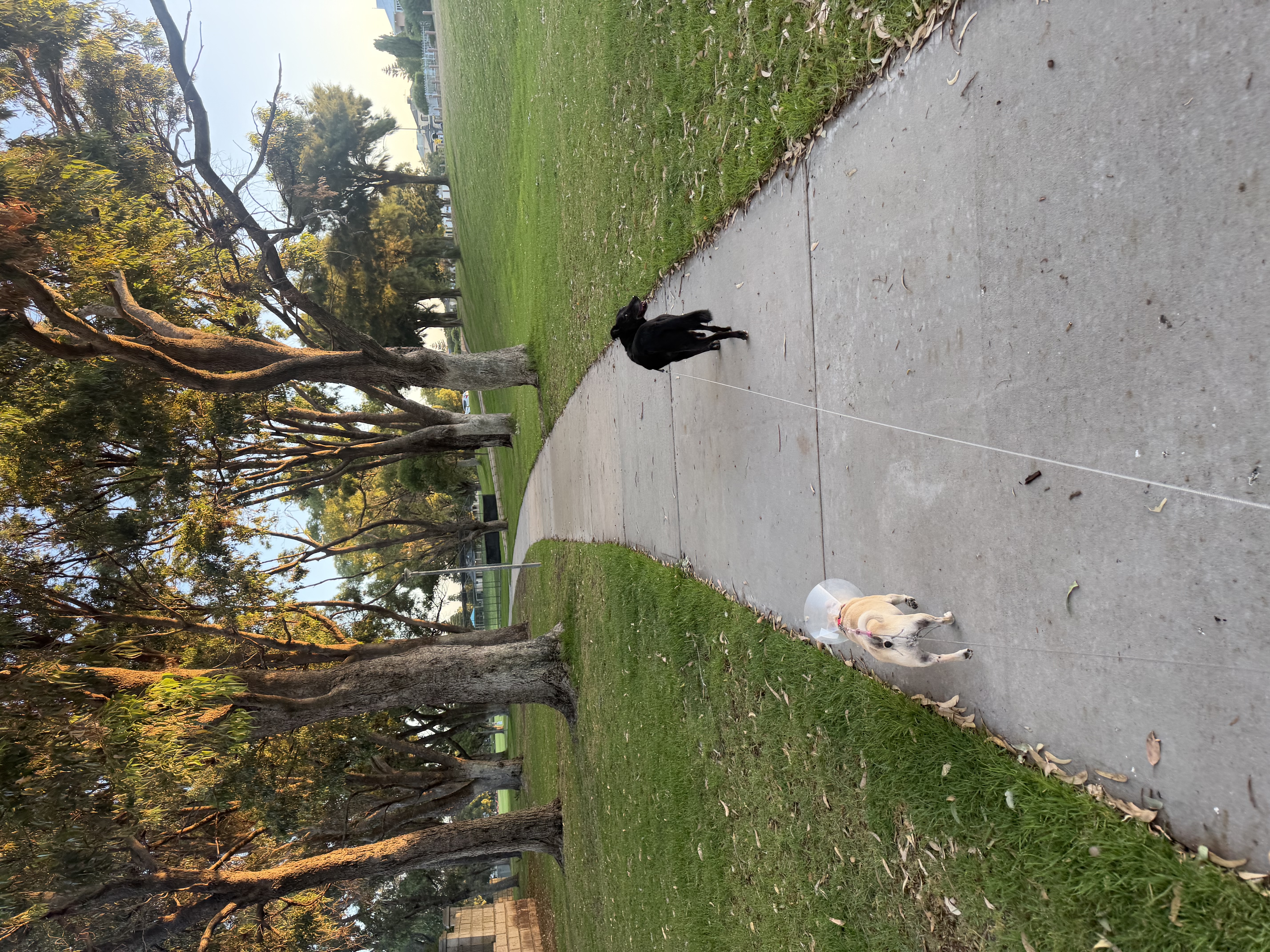 image-11