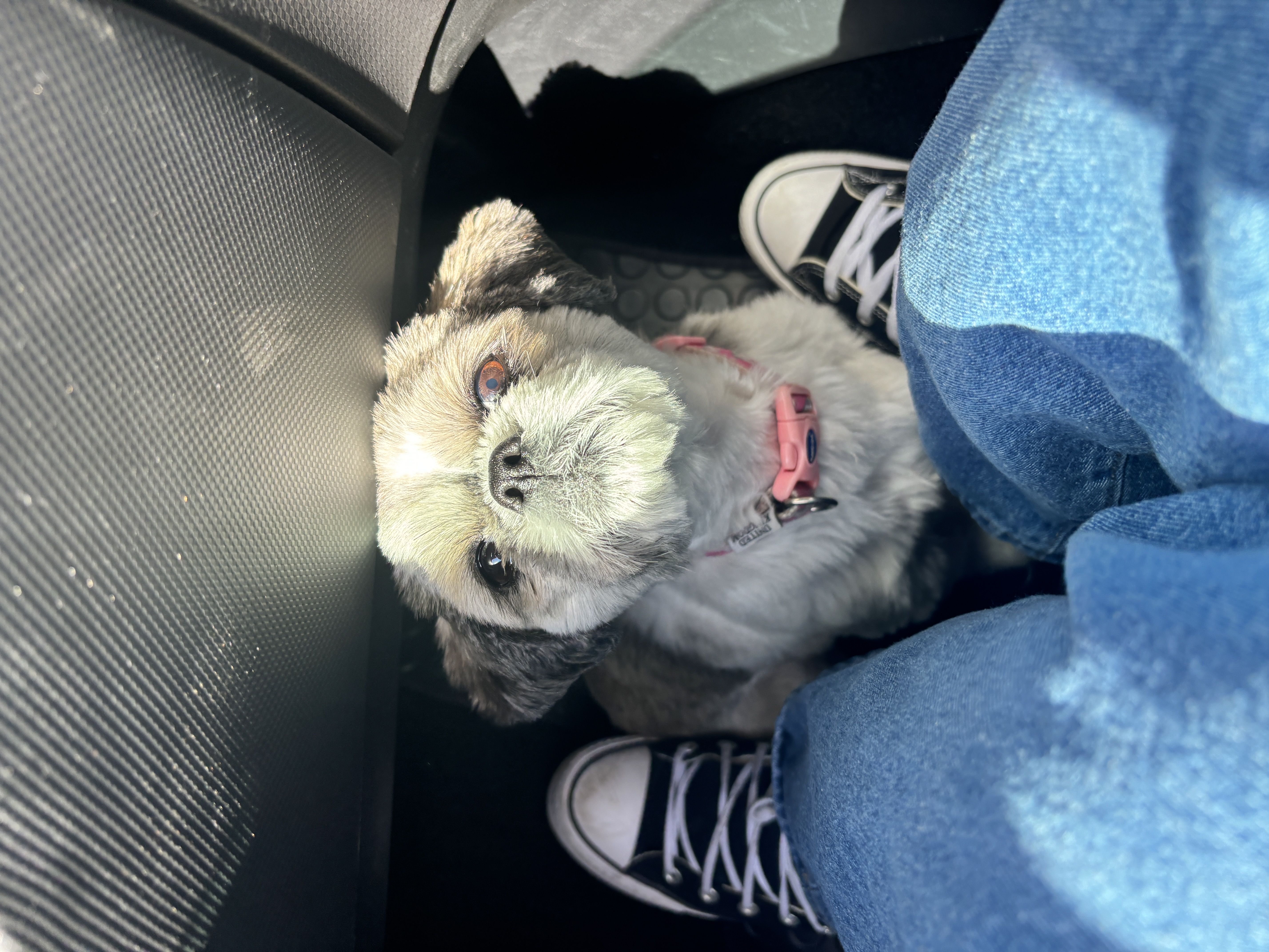 image-6