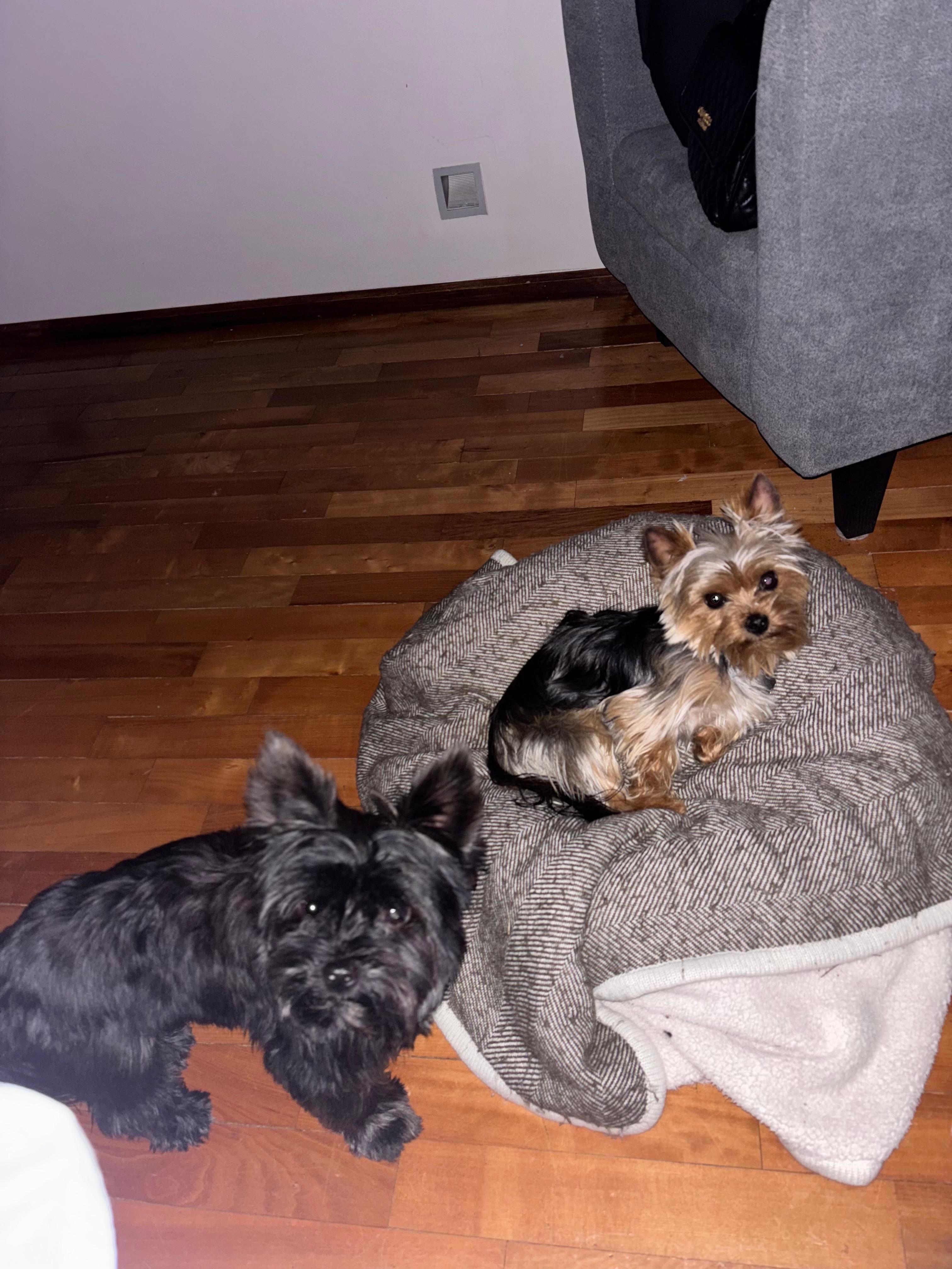 image-13