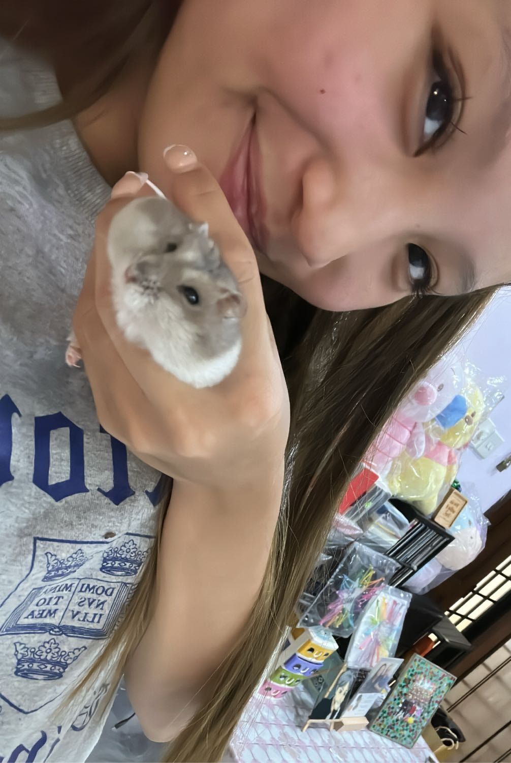 image-6