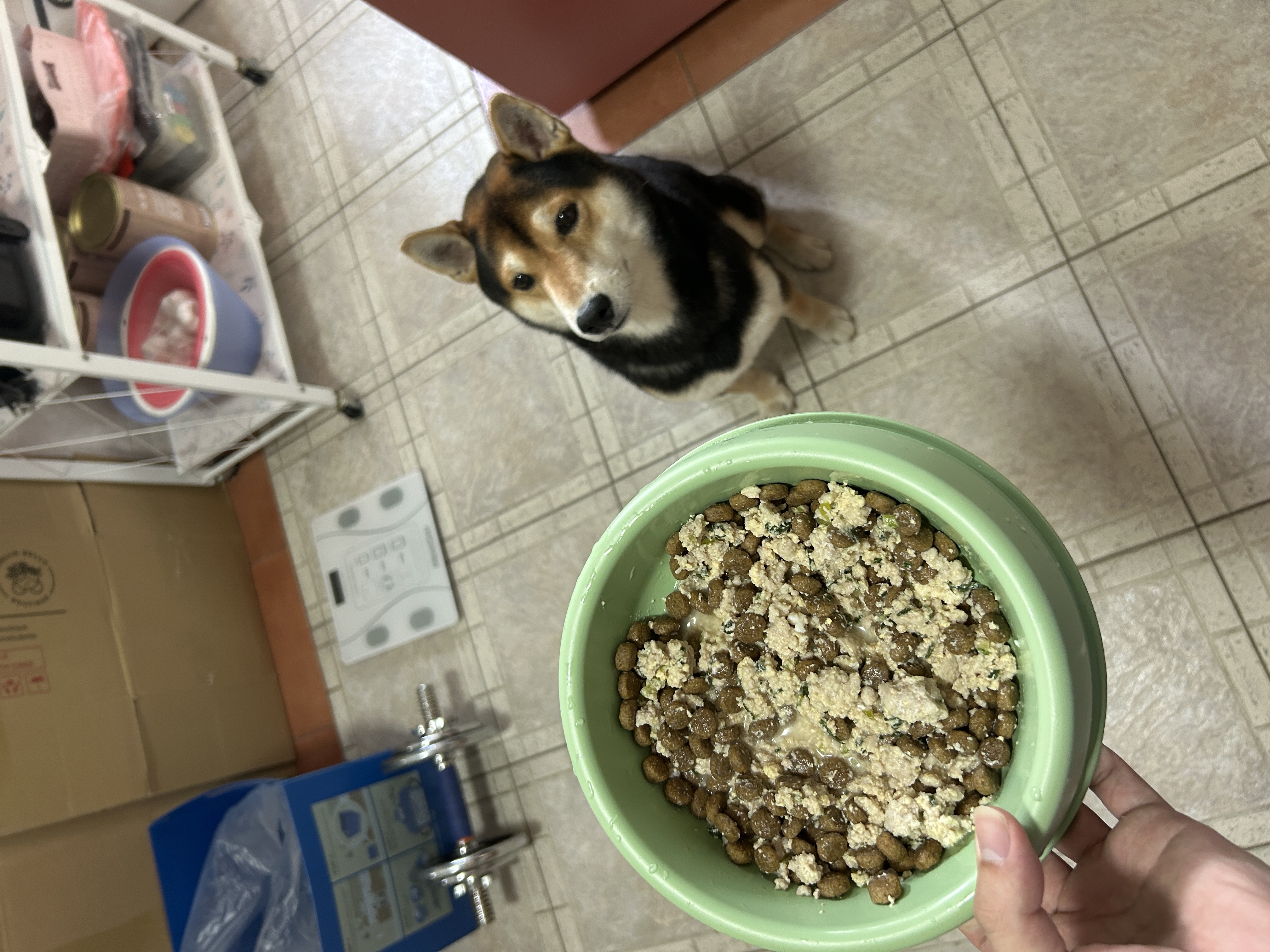 image-13