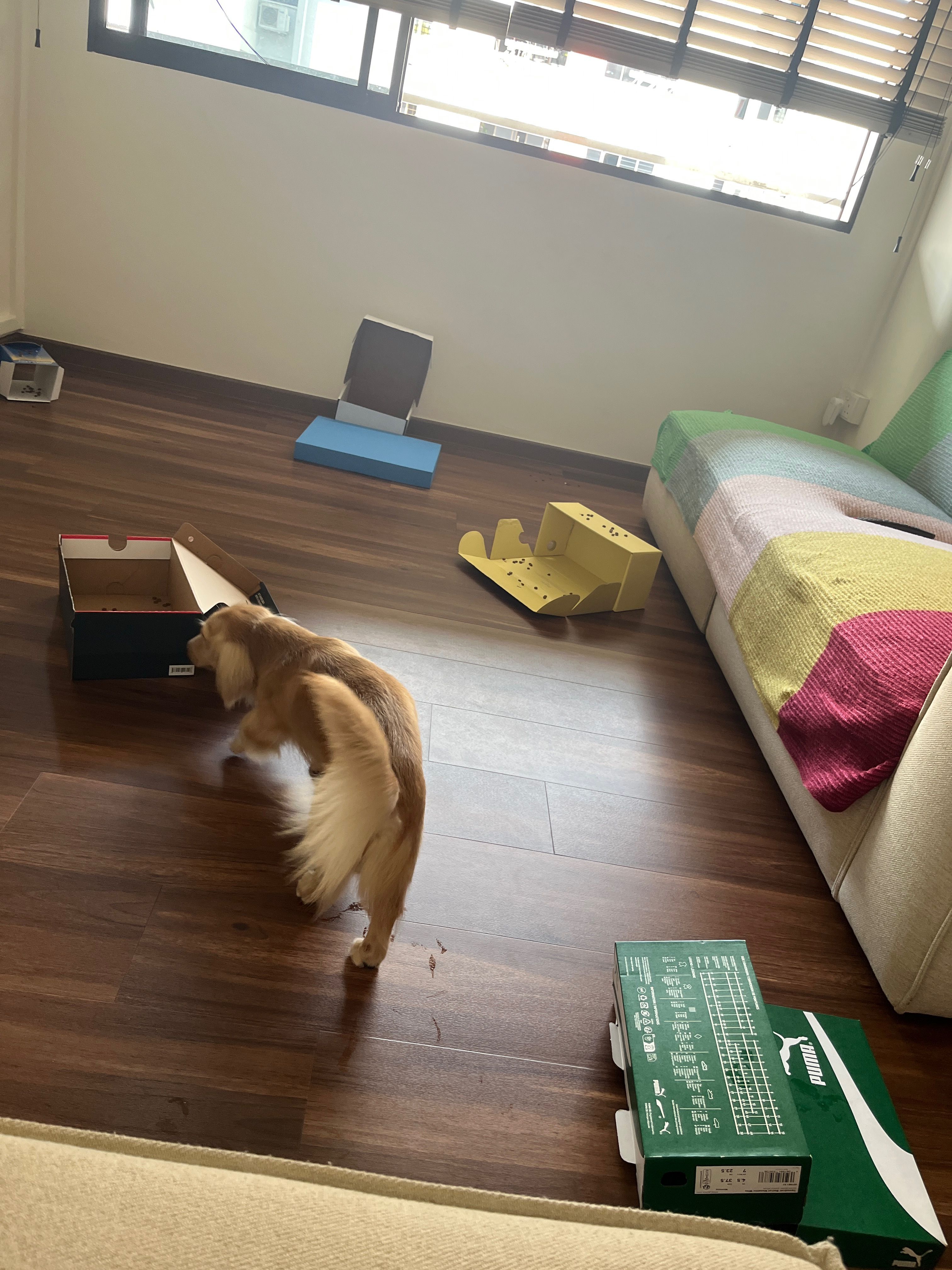 image-18
