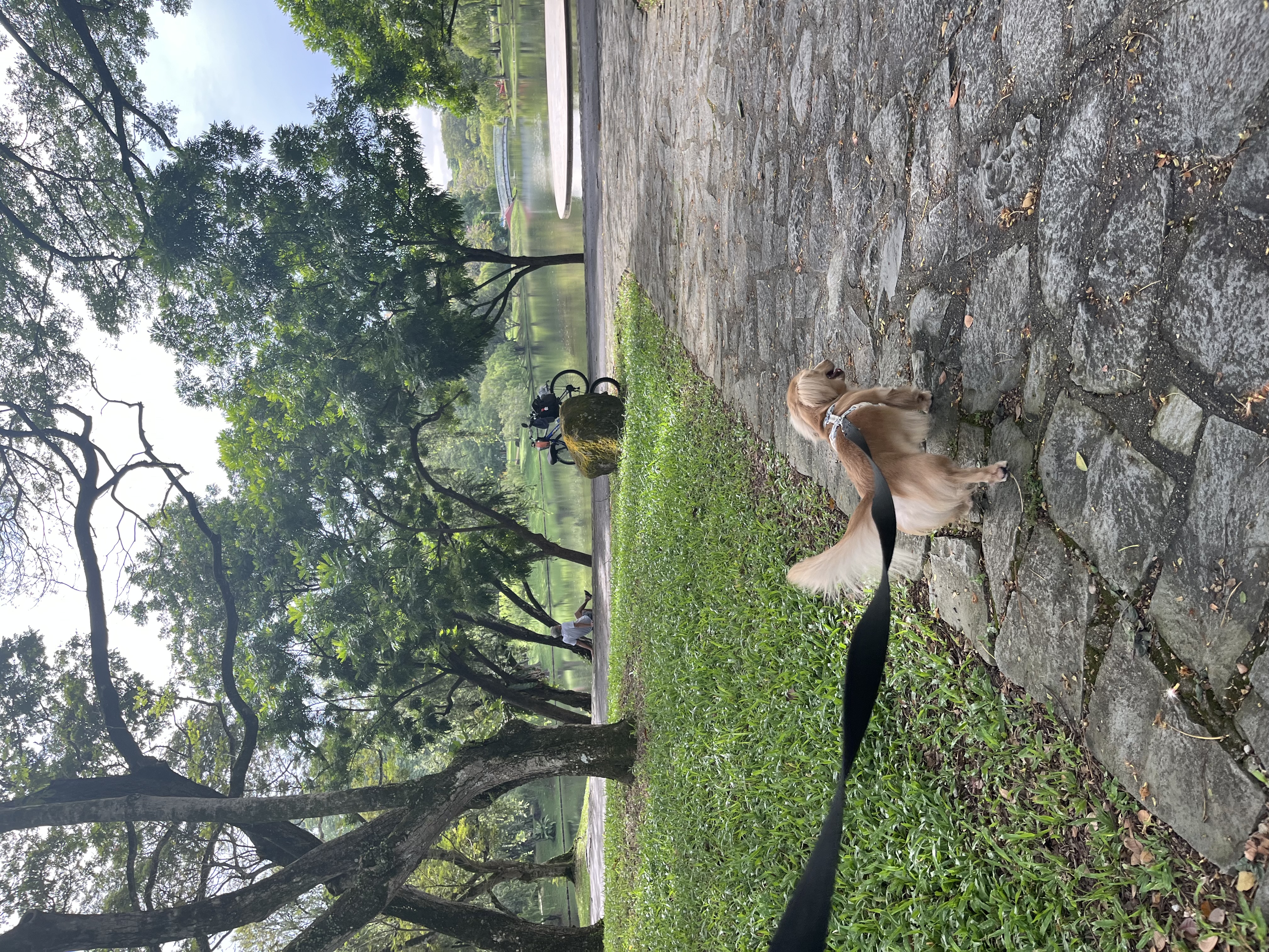 image-19