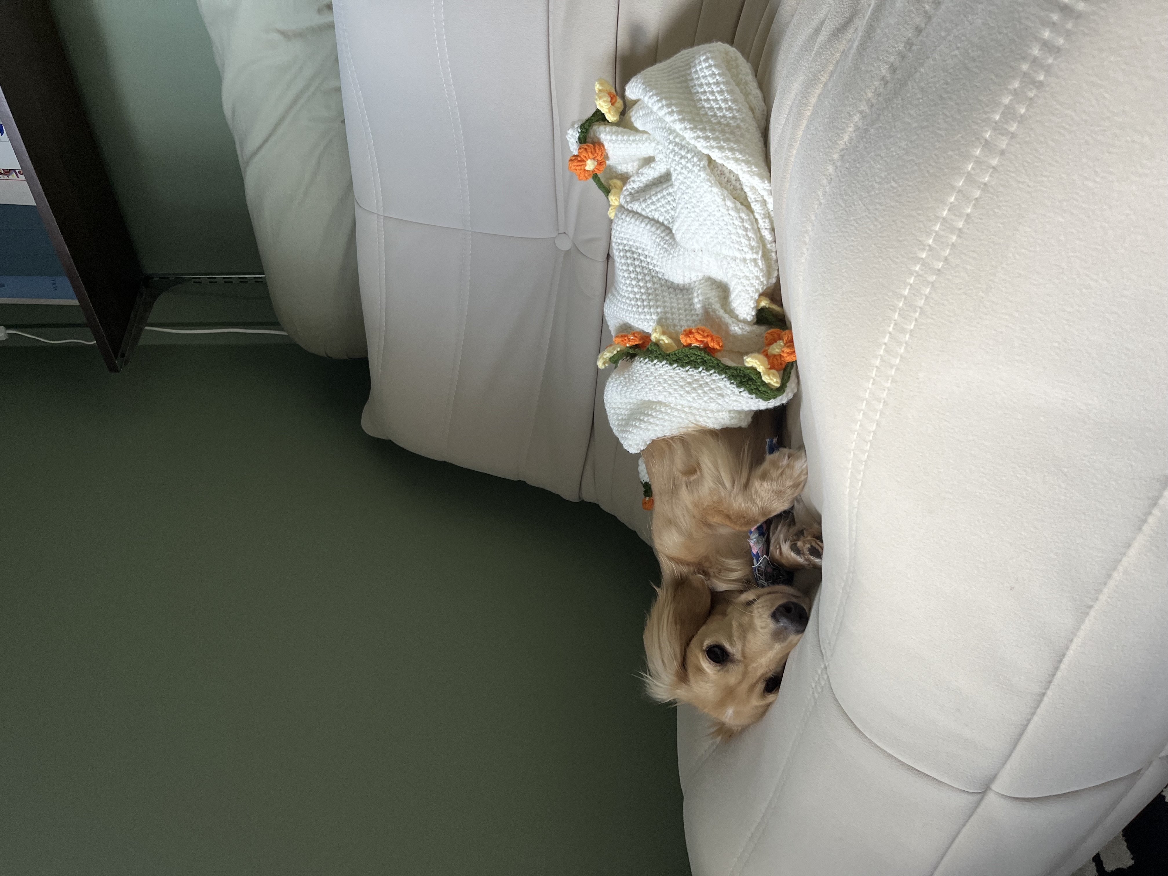 image-6