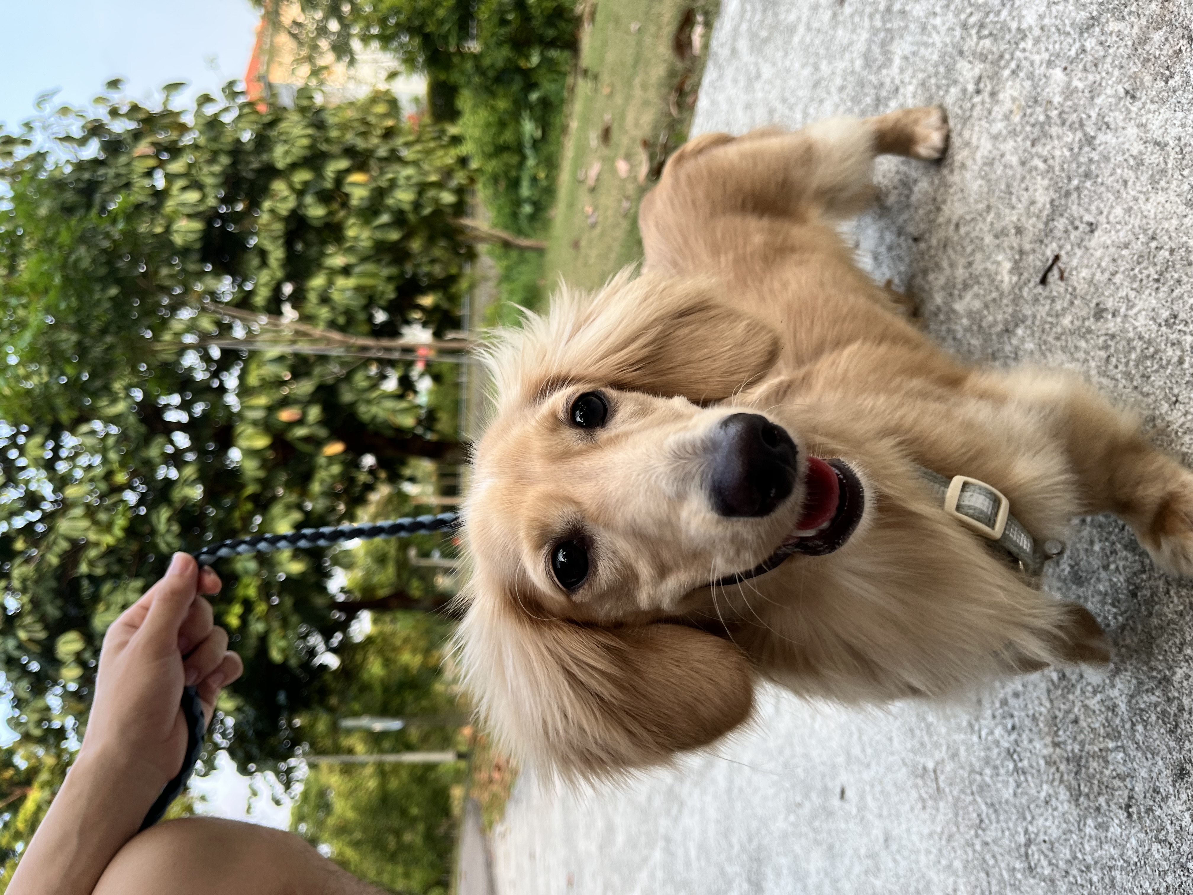 image-9