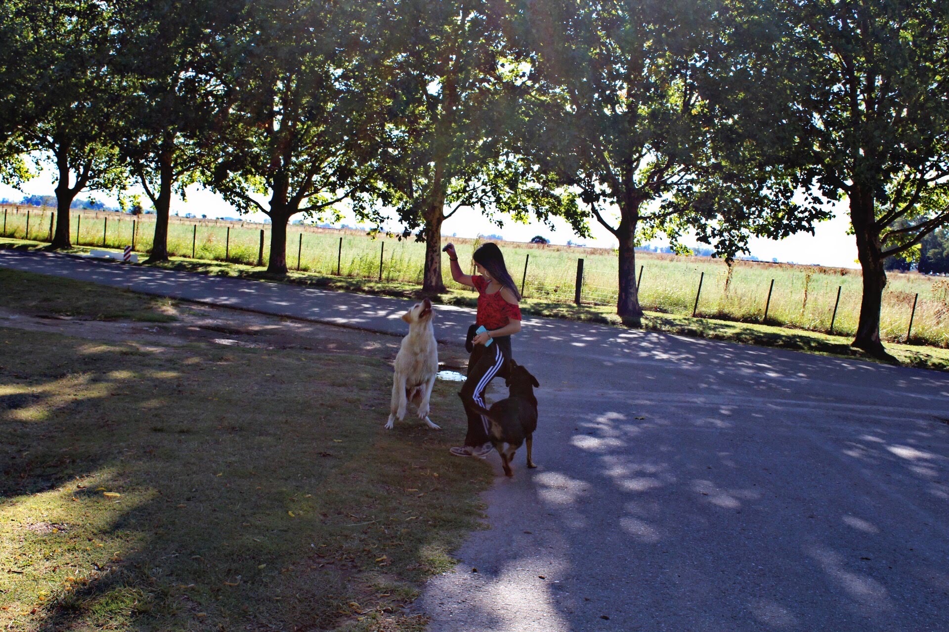 image-2