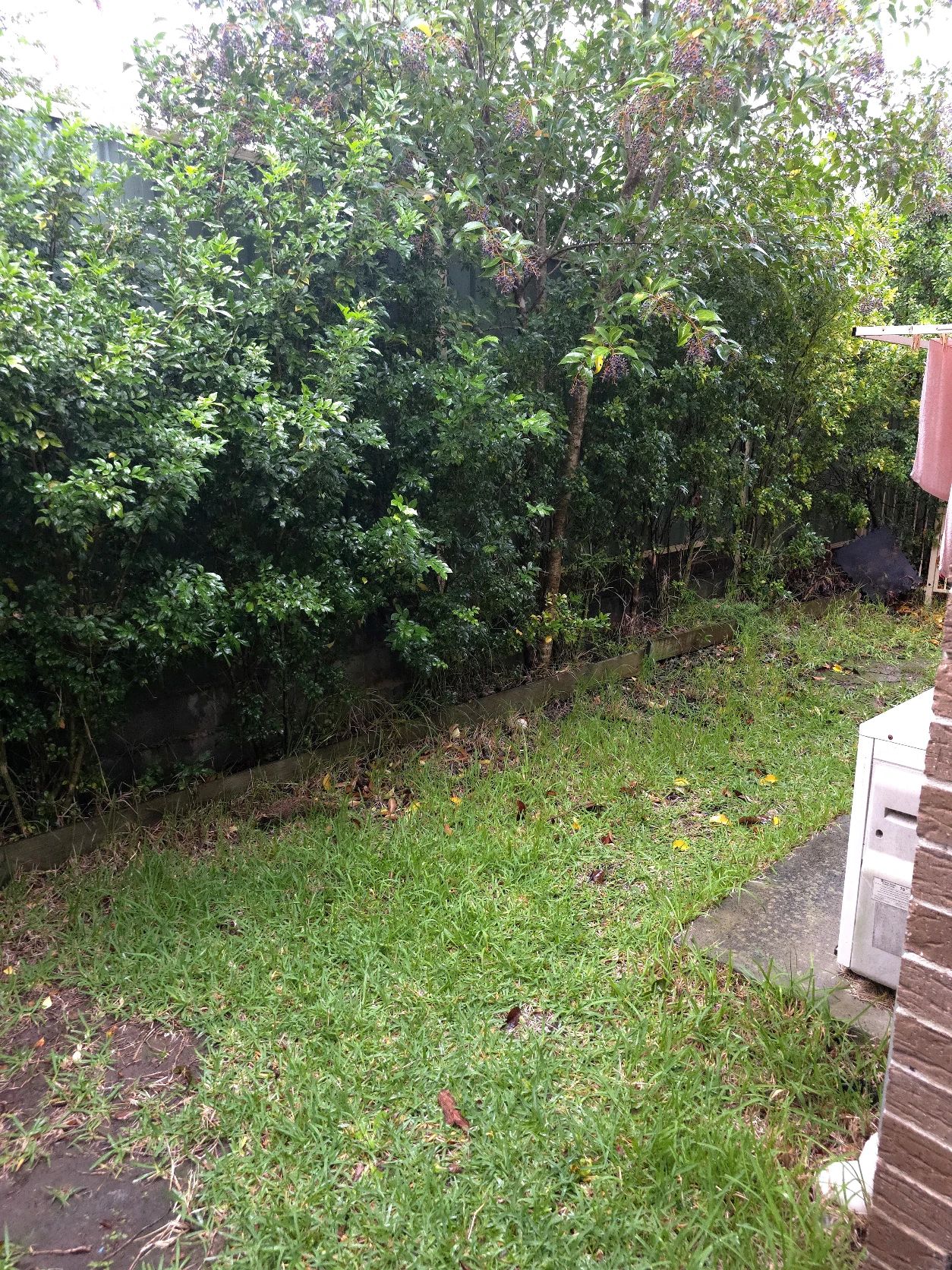 image-20