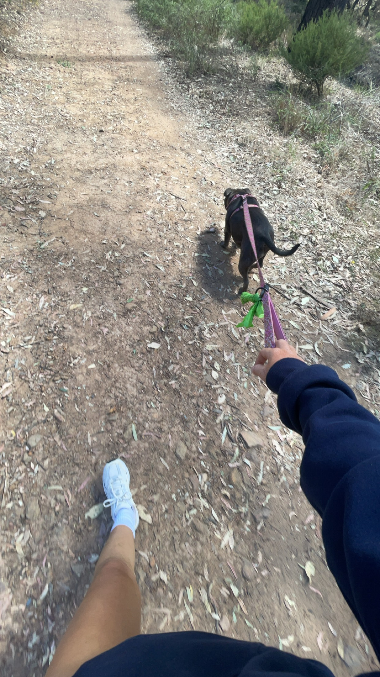 image-5