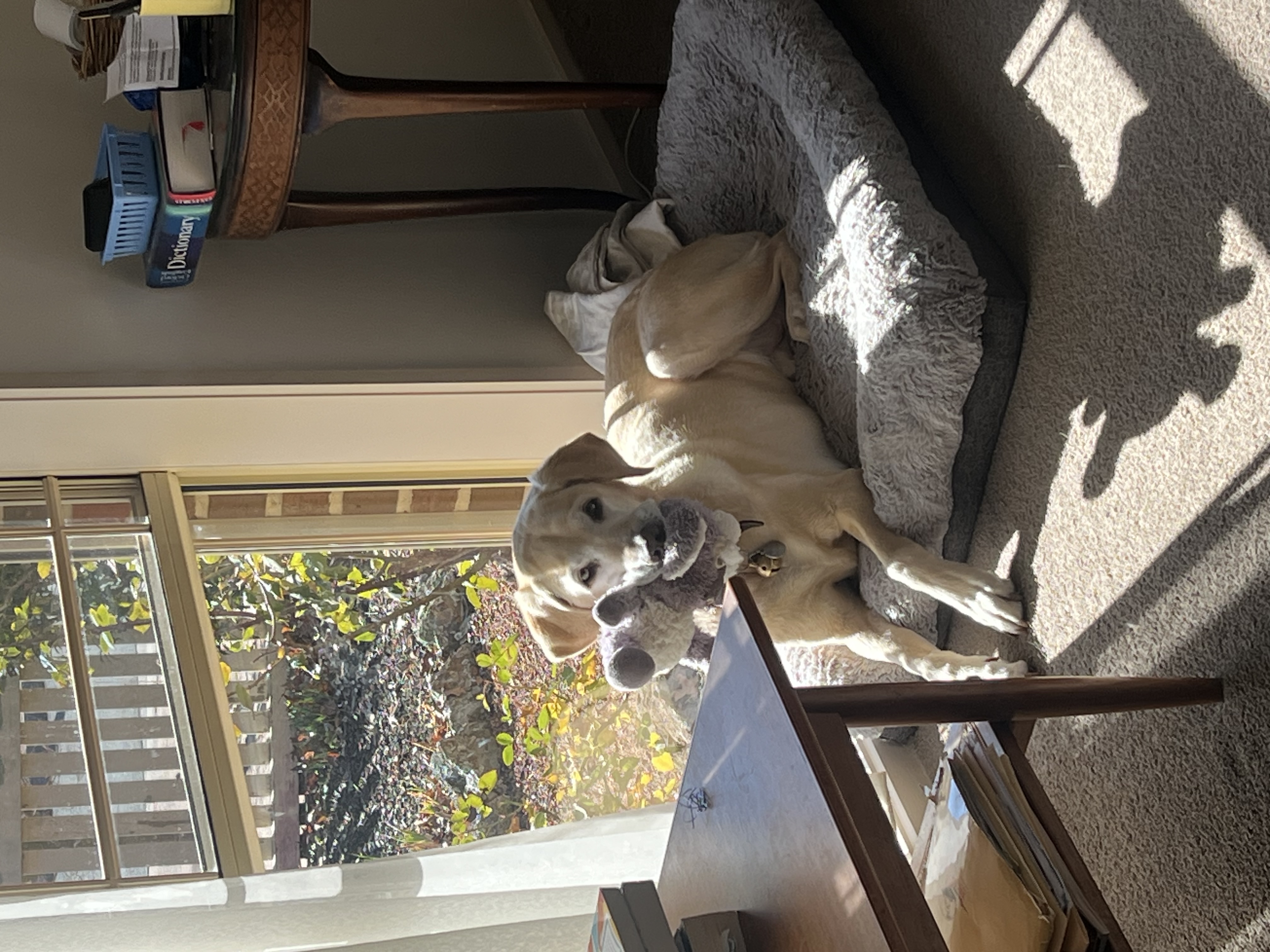 image-14