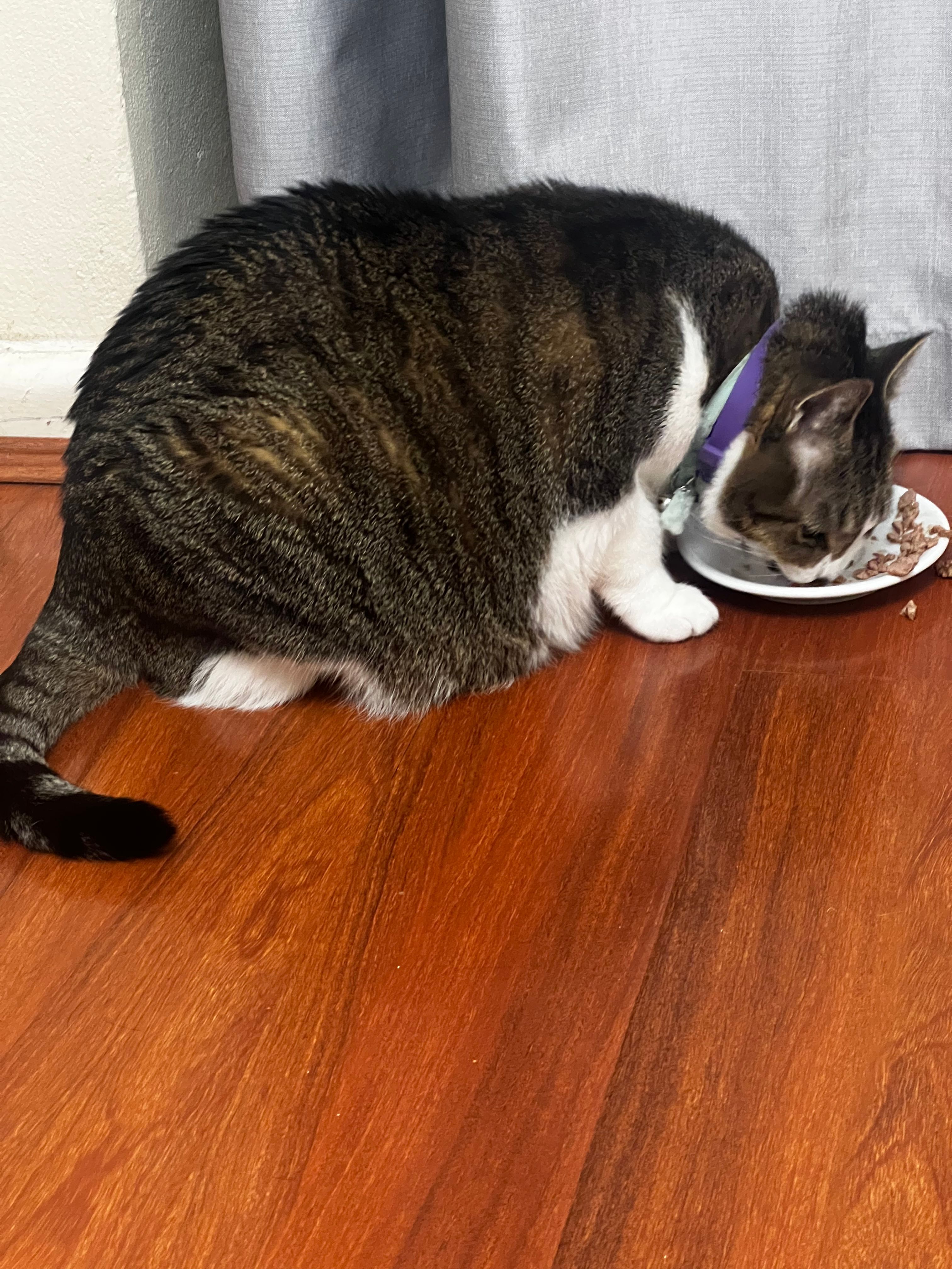 image-18