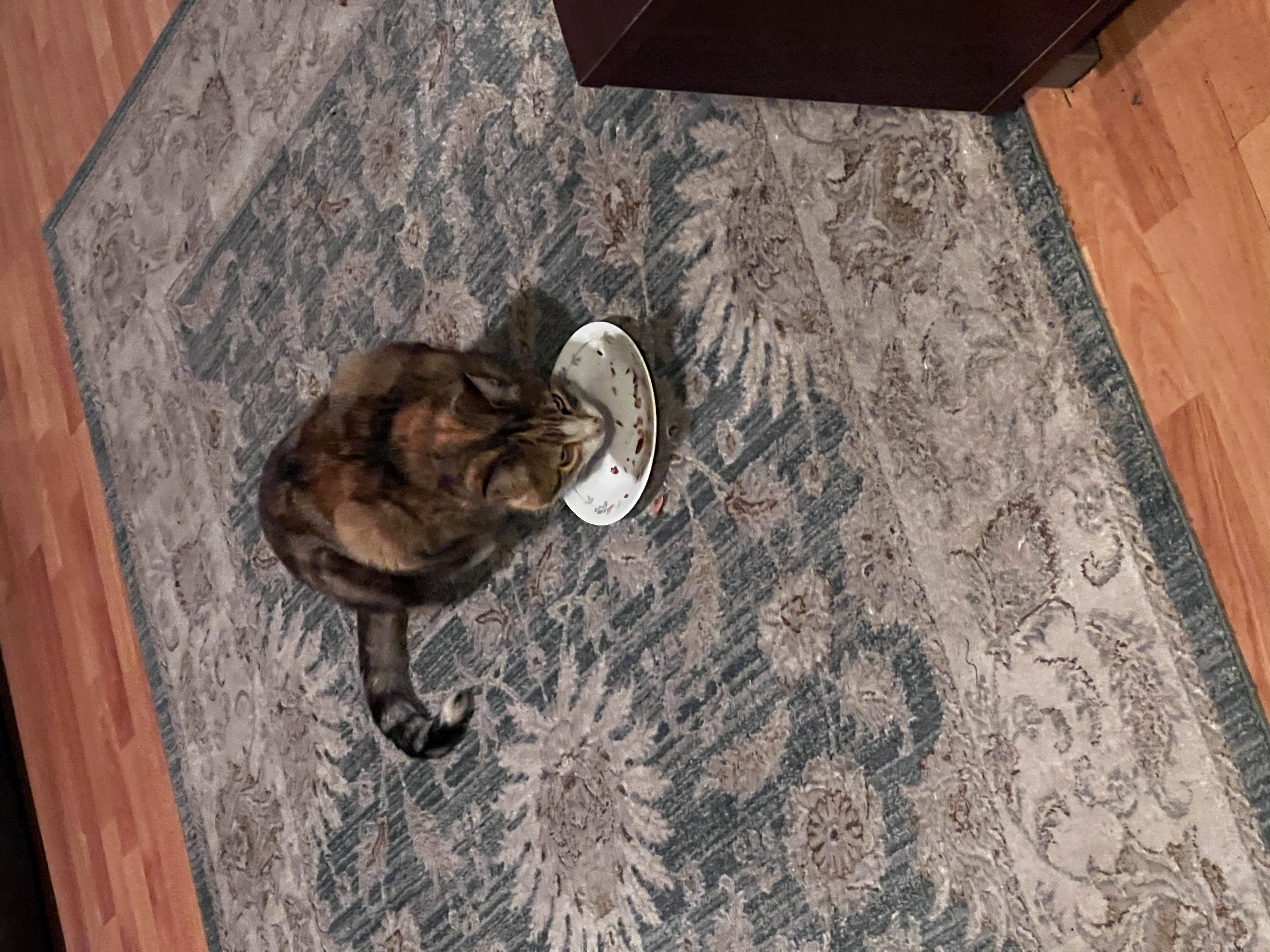 image-16