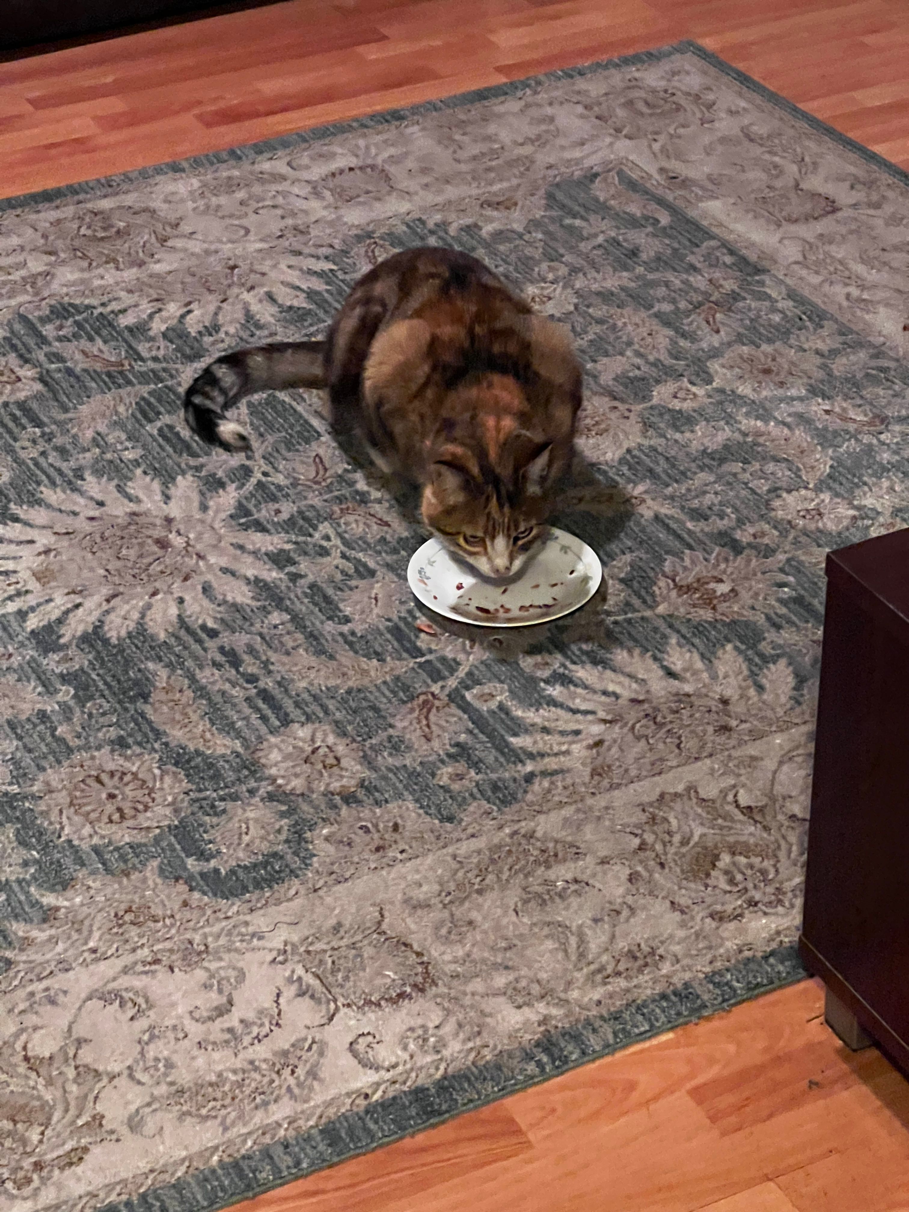 image-16