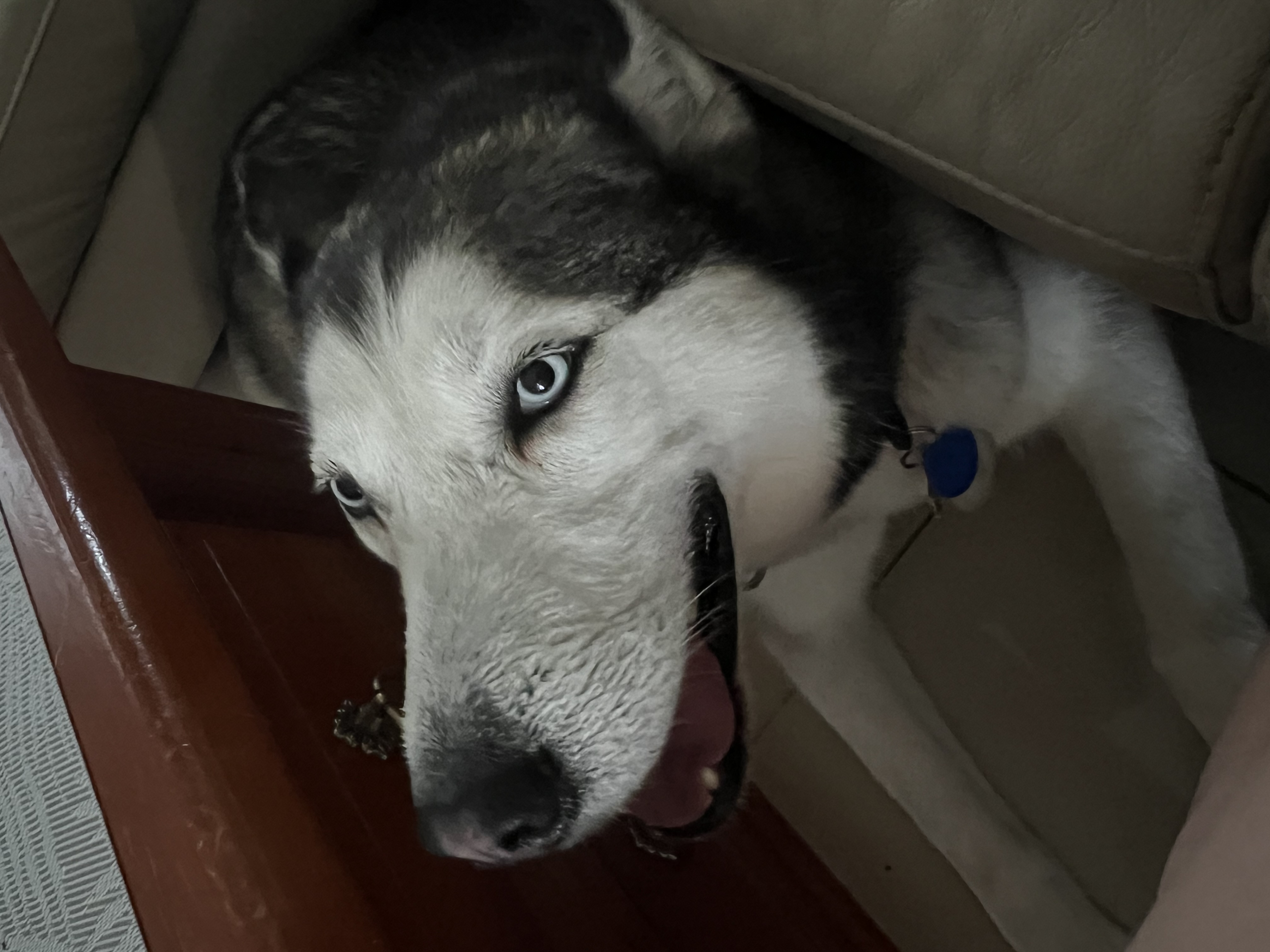 image-12