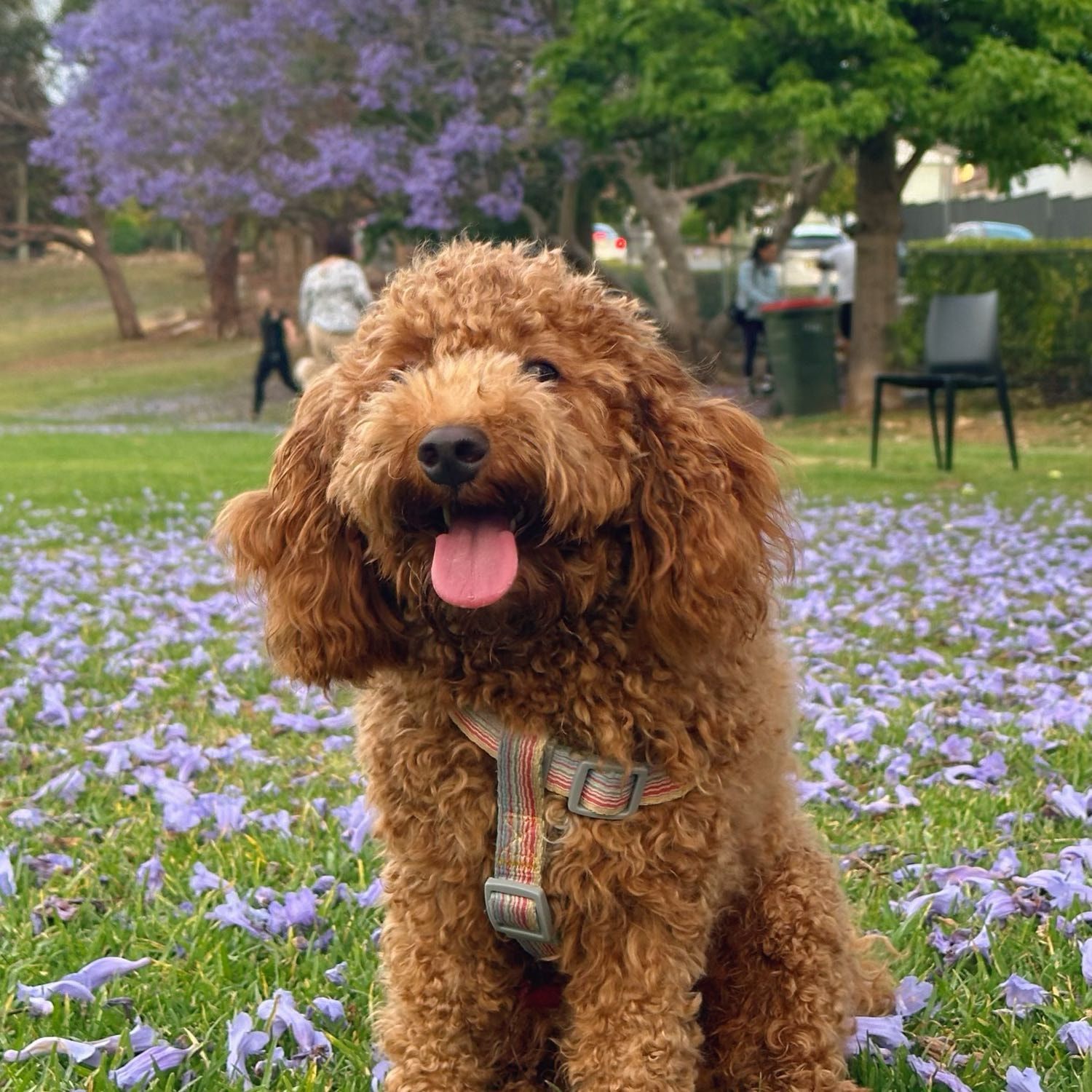 Charlie