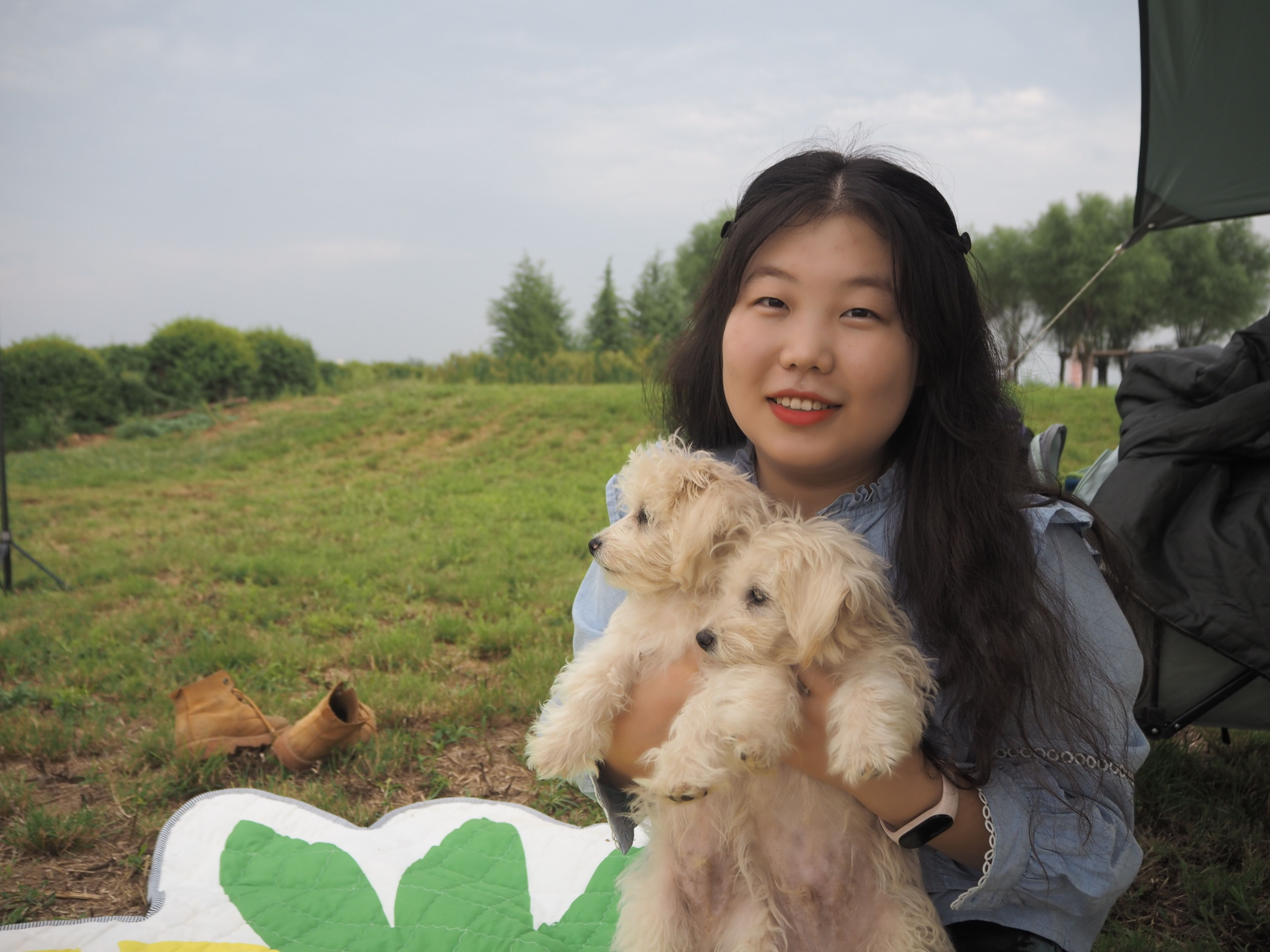 image-7