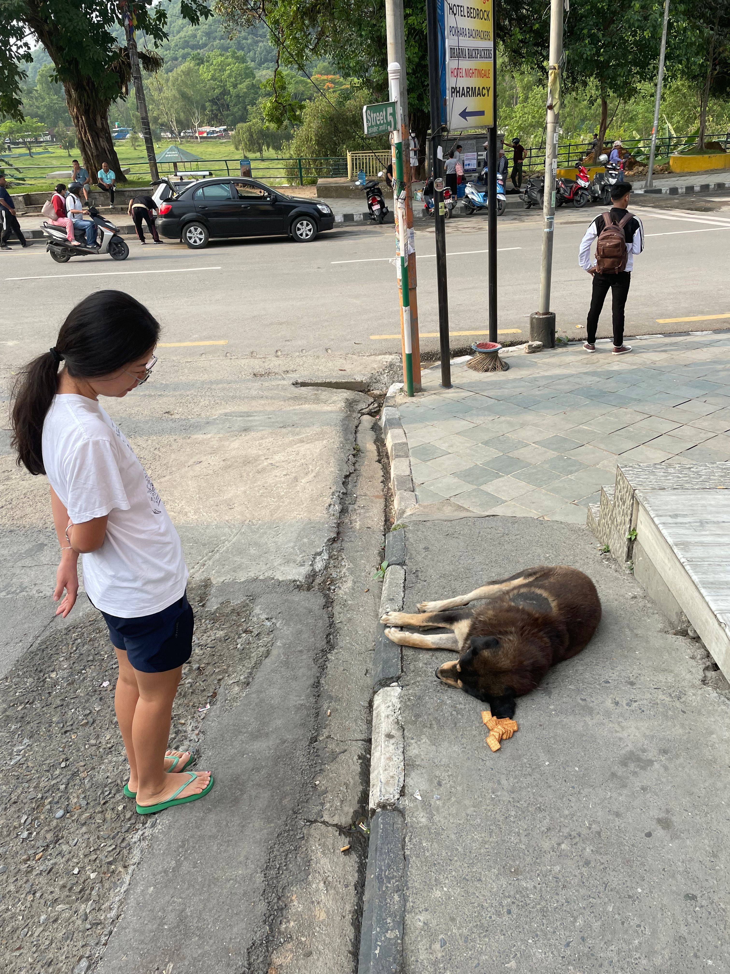 image-13