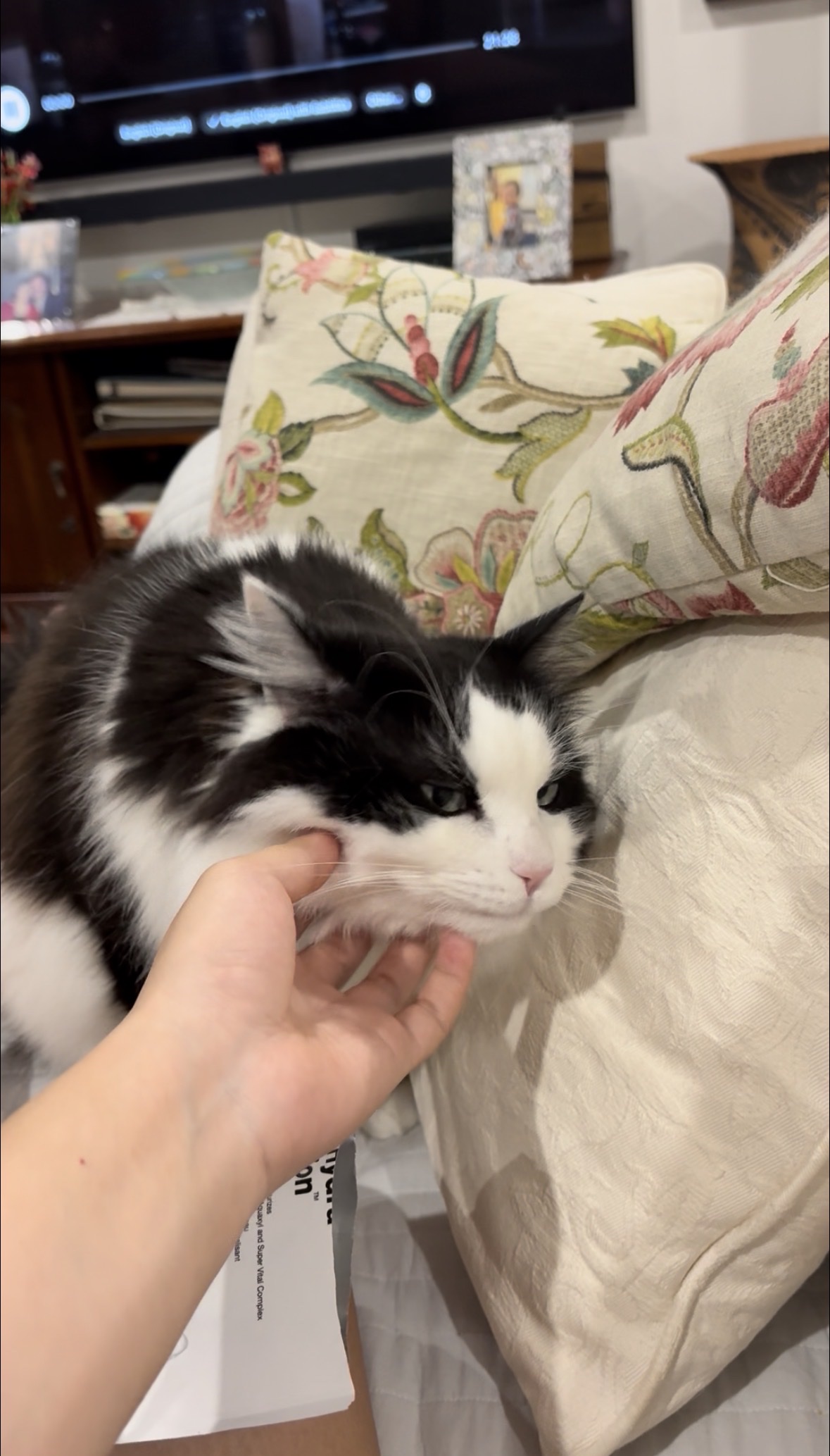 image-16