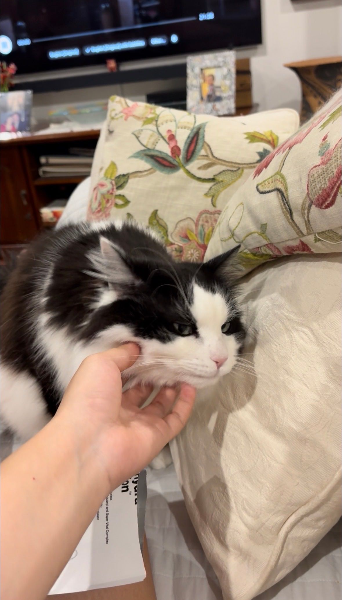 image-16