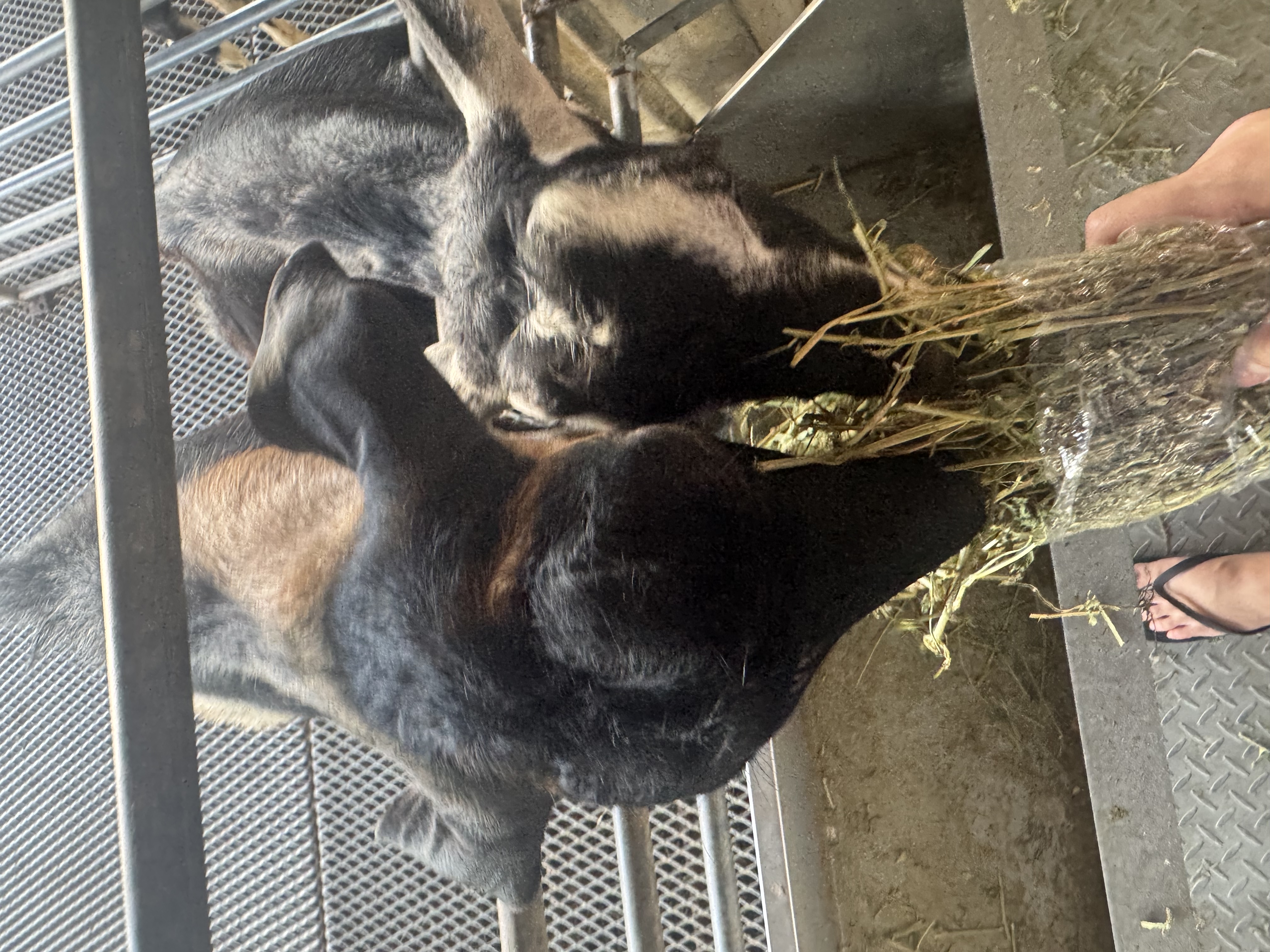 image-6