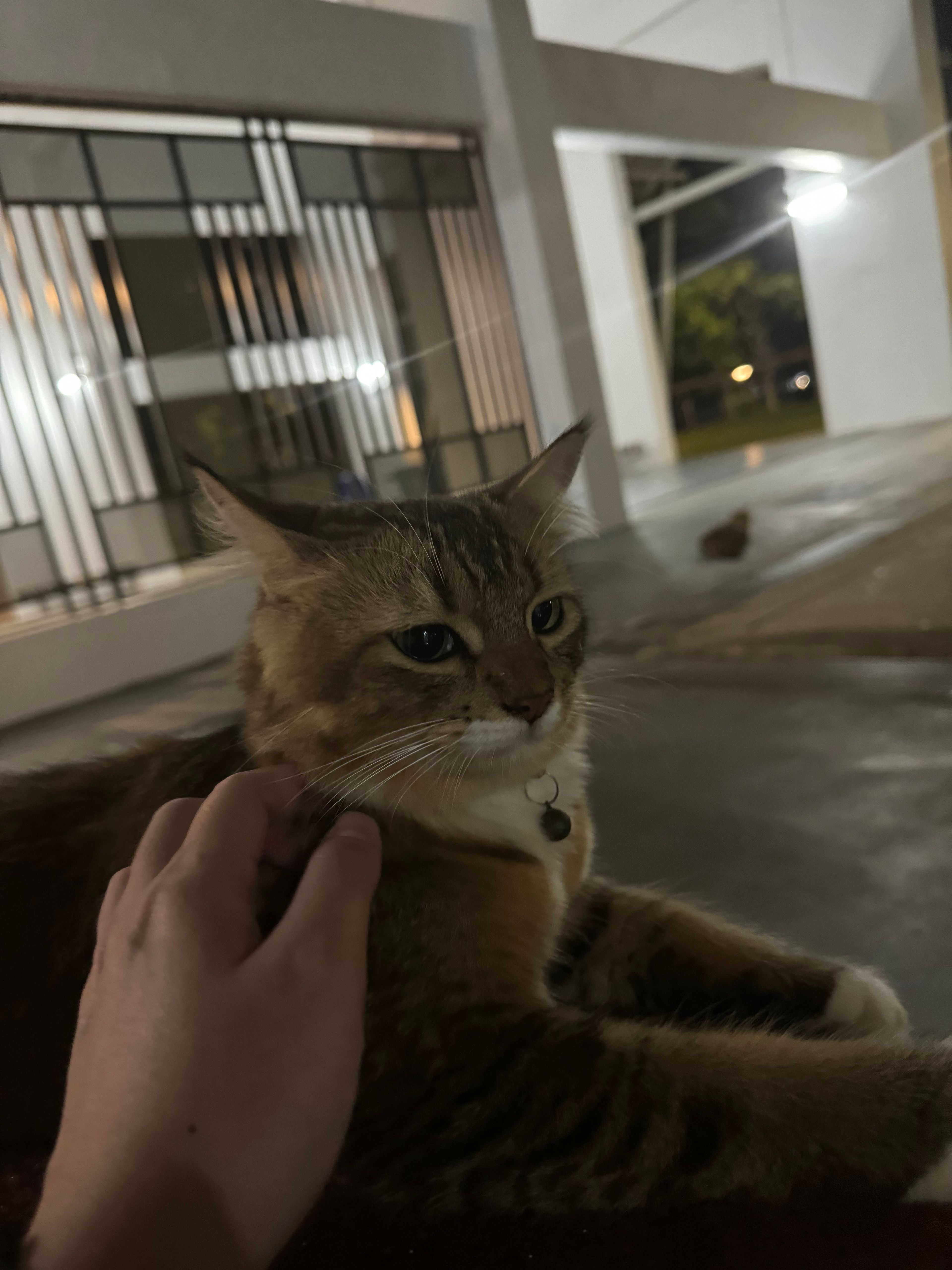 image-17