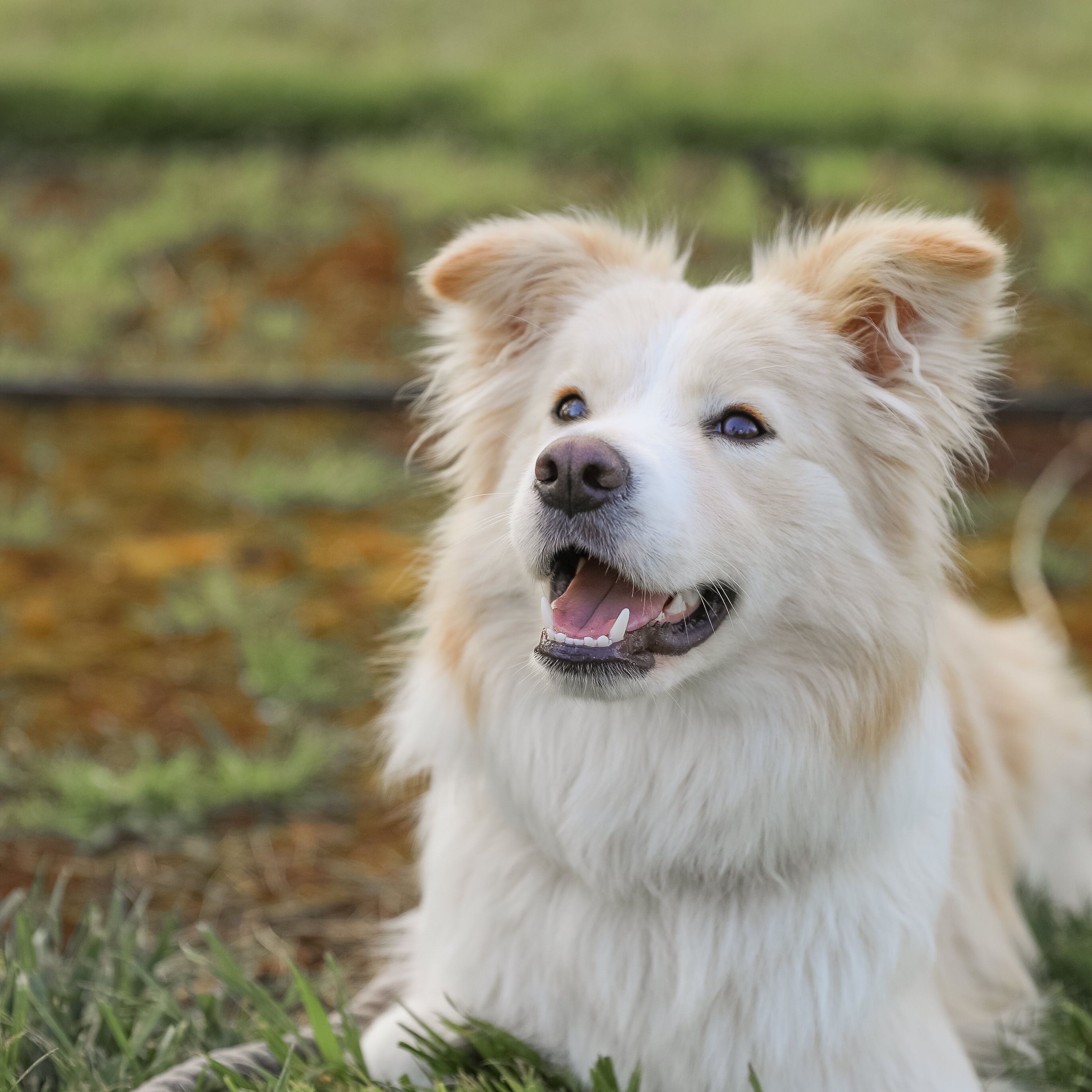 Maggie