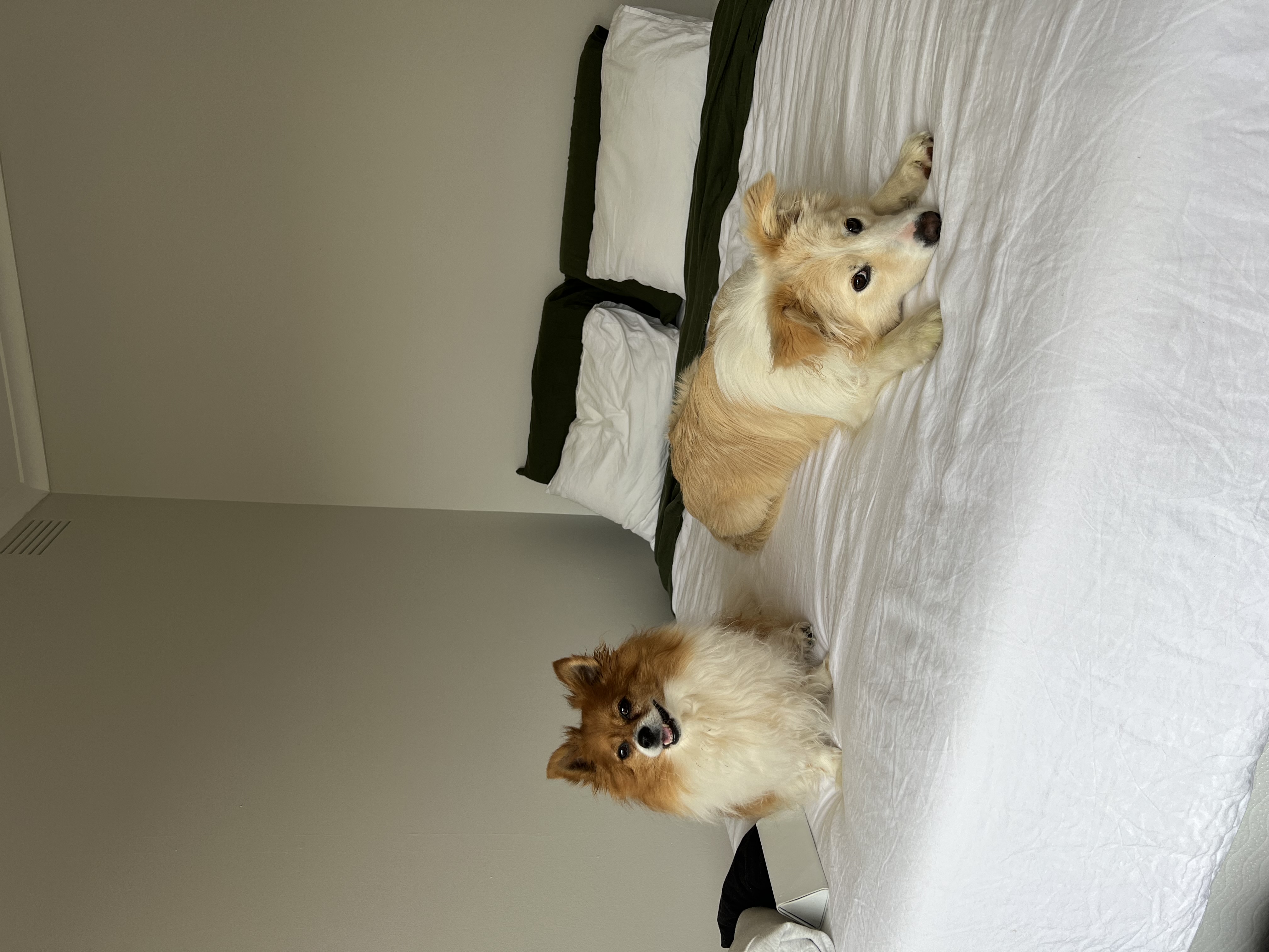 image-10