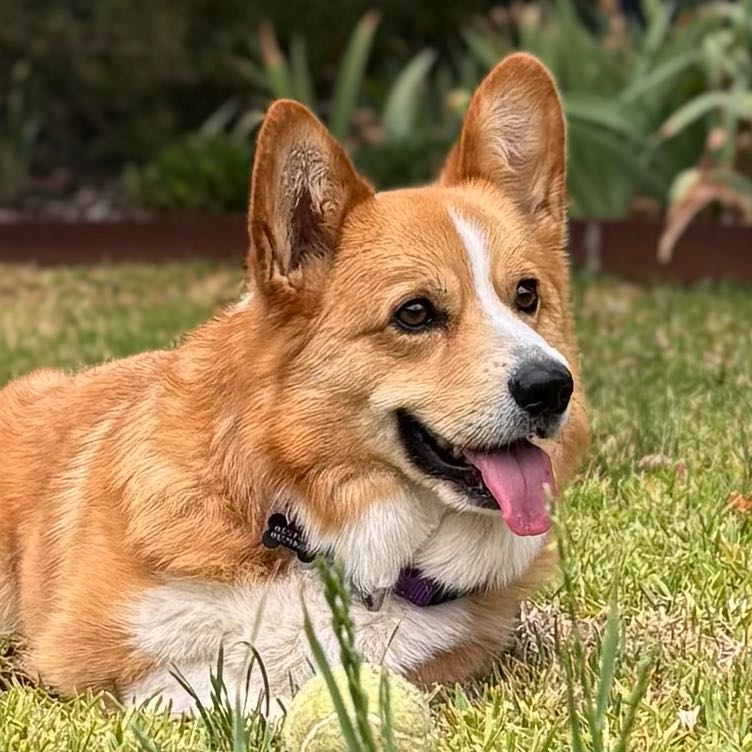 Gabby