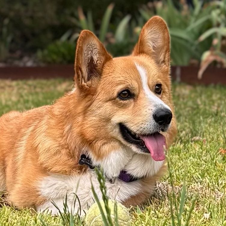 Gabby