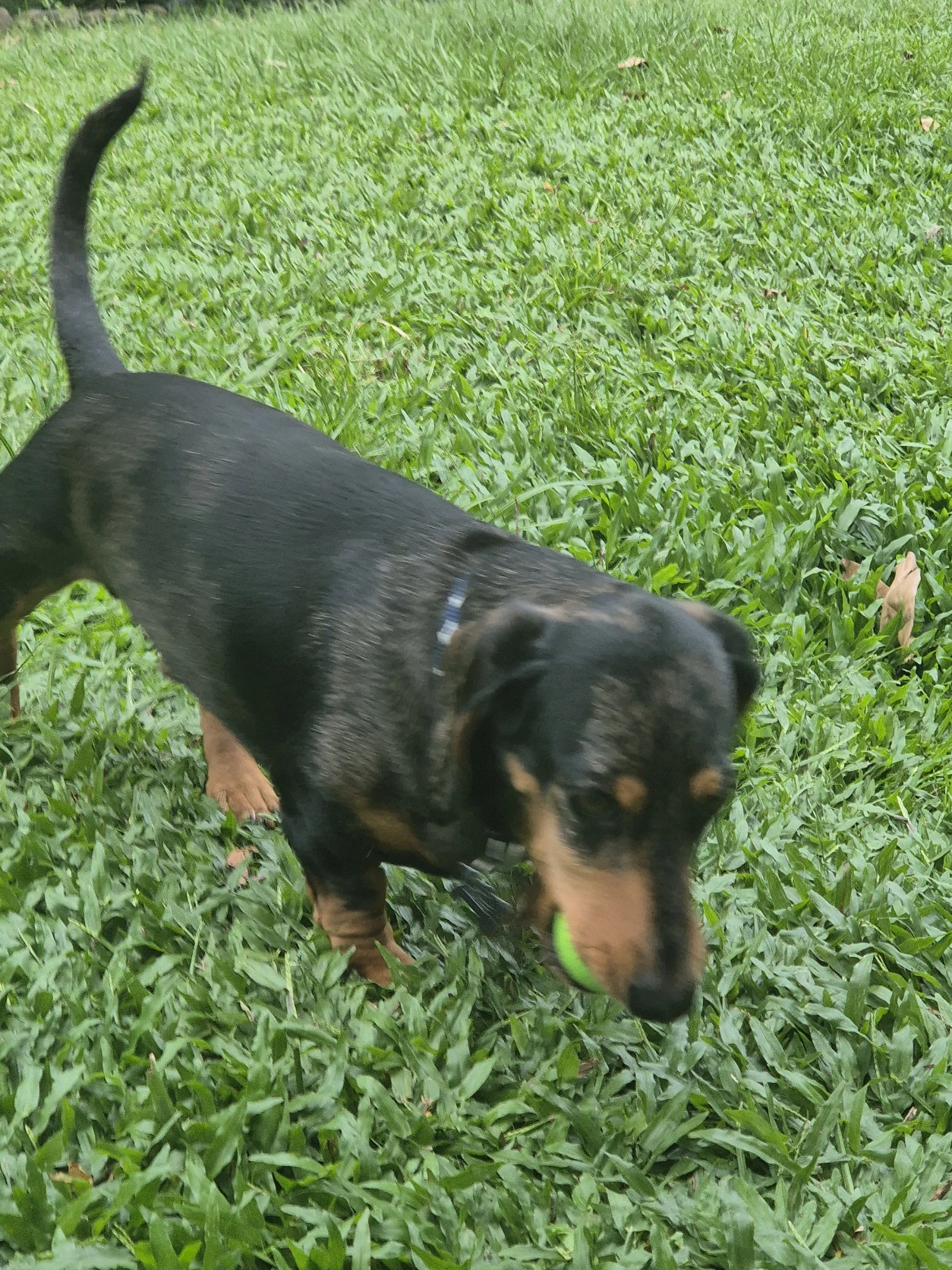 image-4
